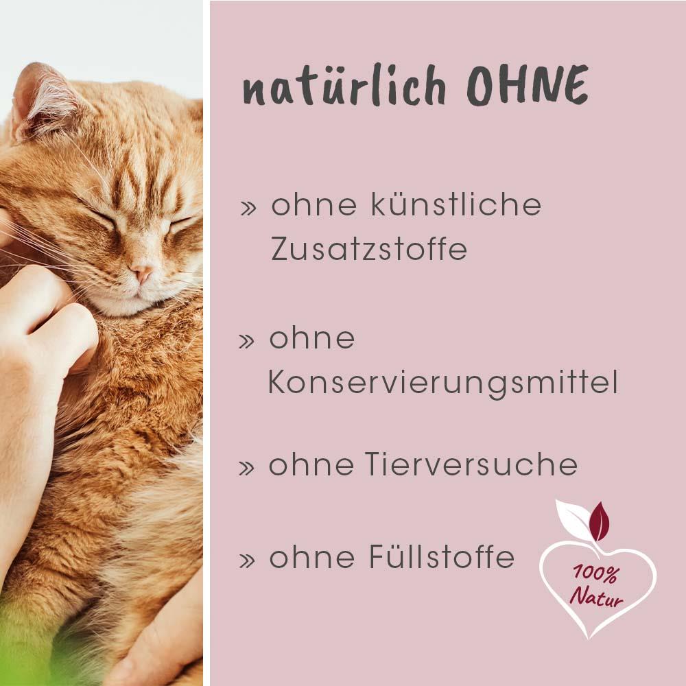 Shopbild