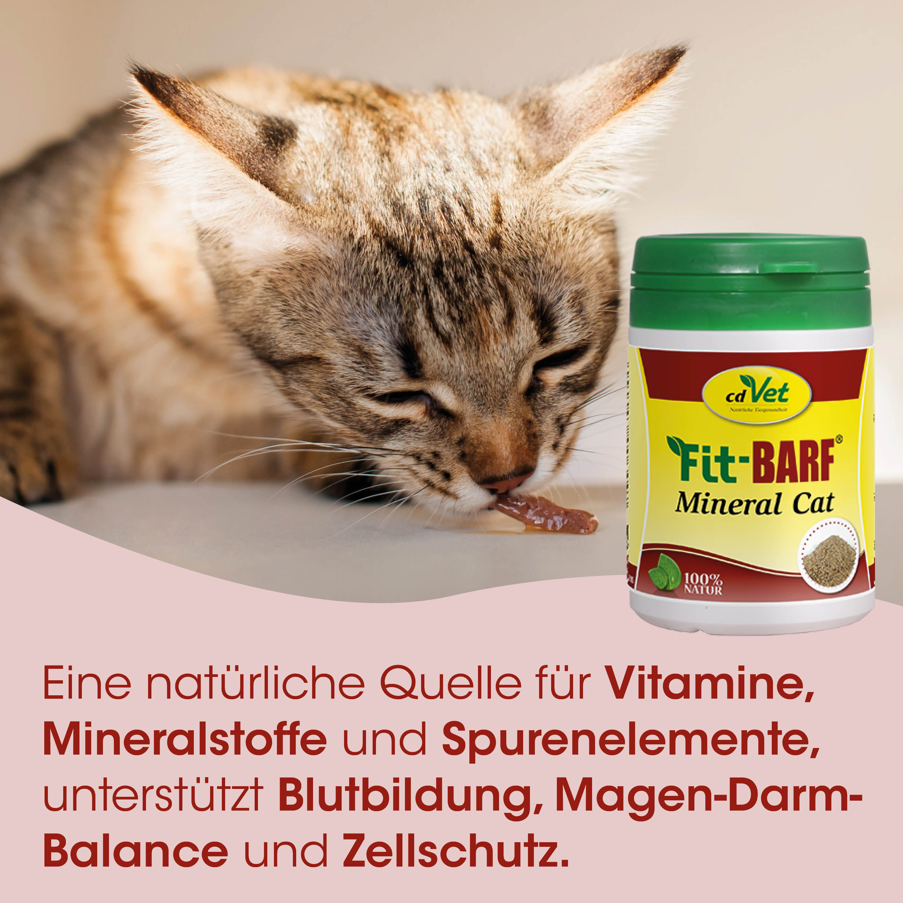 Katzenfutter, Mineralisches Katzenfutter, Brauner Kater, Futtertabletten, Vitamine Mineralstoffe Spurenlemente