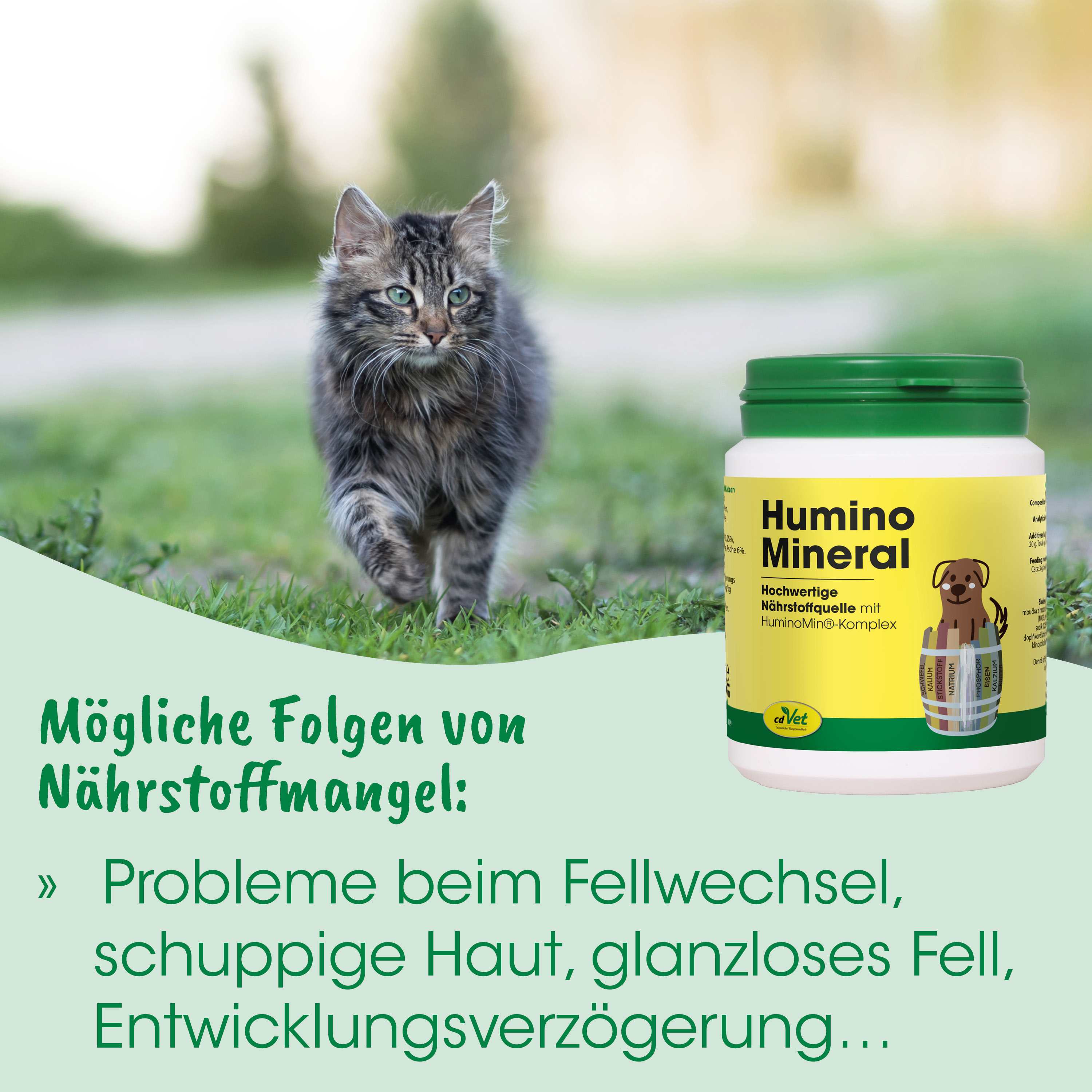 Katzenfutter, Nahrungsergänzung, Mineralien, Grün, Katzenfutter-Behälter