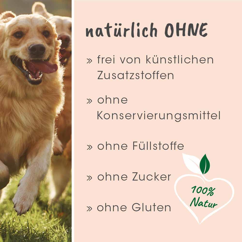 Shopbild Hund, Golden Retriever, Säugetier, Haustier