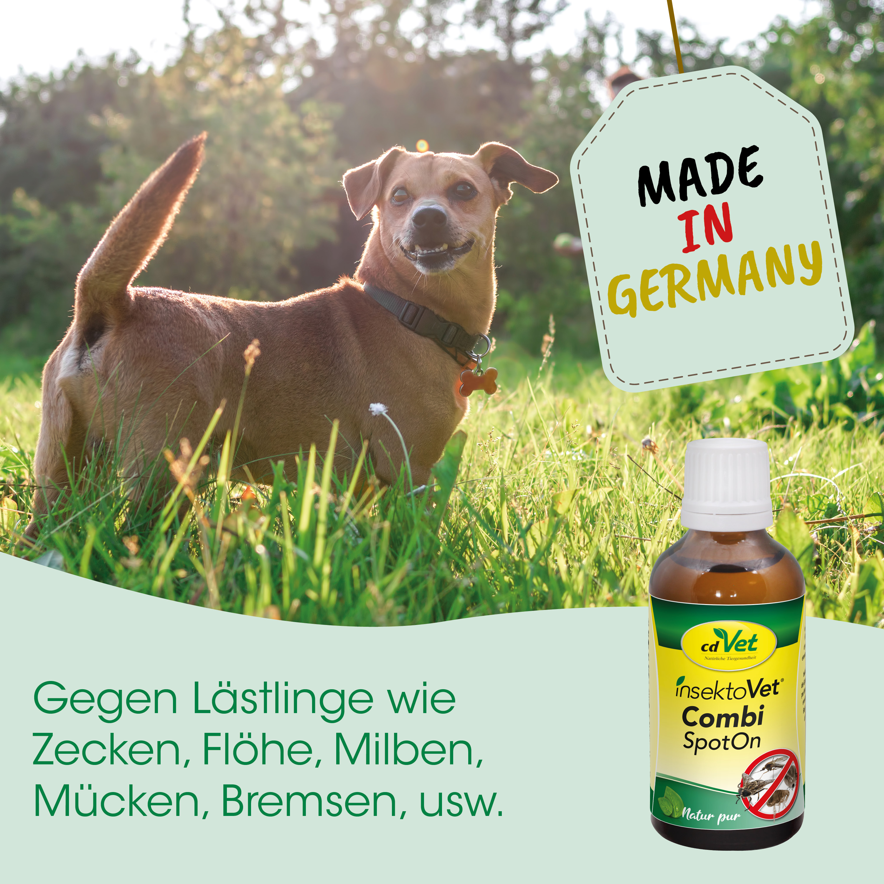 Hund, Outdoor, Gras, Flasche, Insektenschutz
