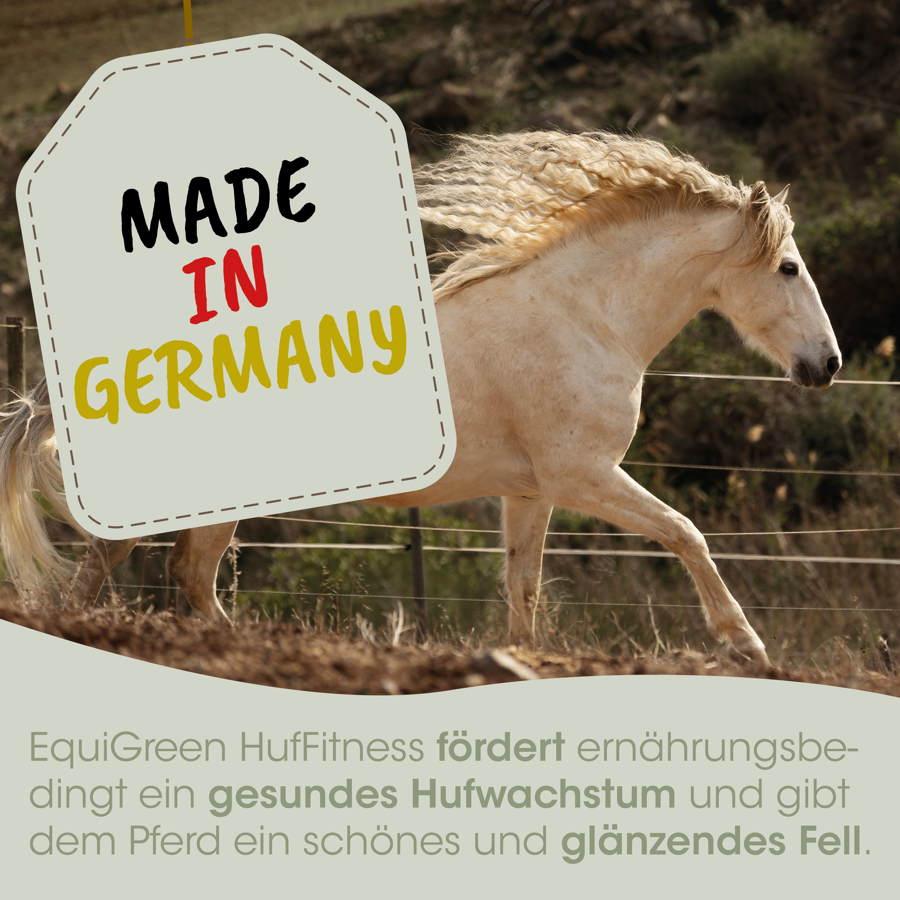 Pferd, Palomino, Springendes Pferd, Mähne, Hergestellt in Deutschland