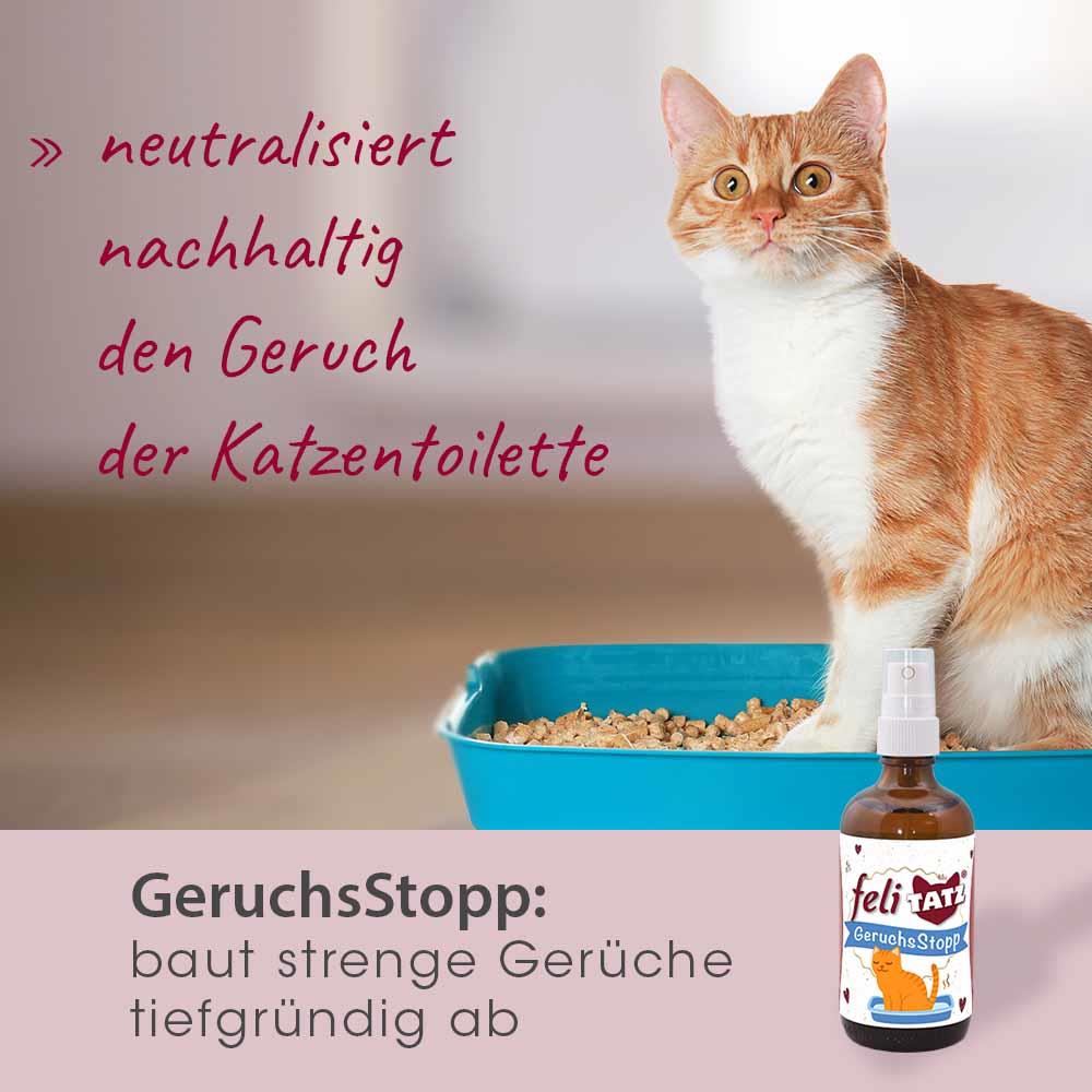 Shopbild
