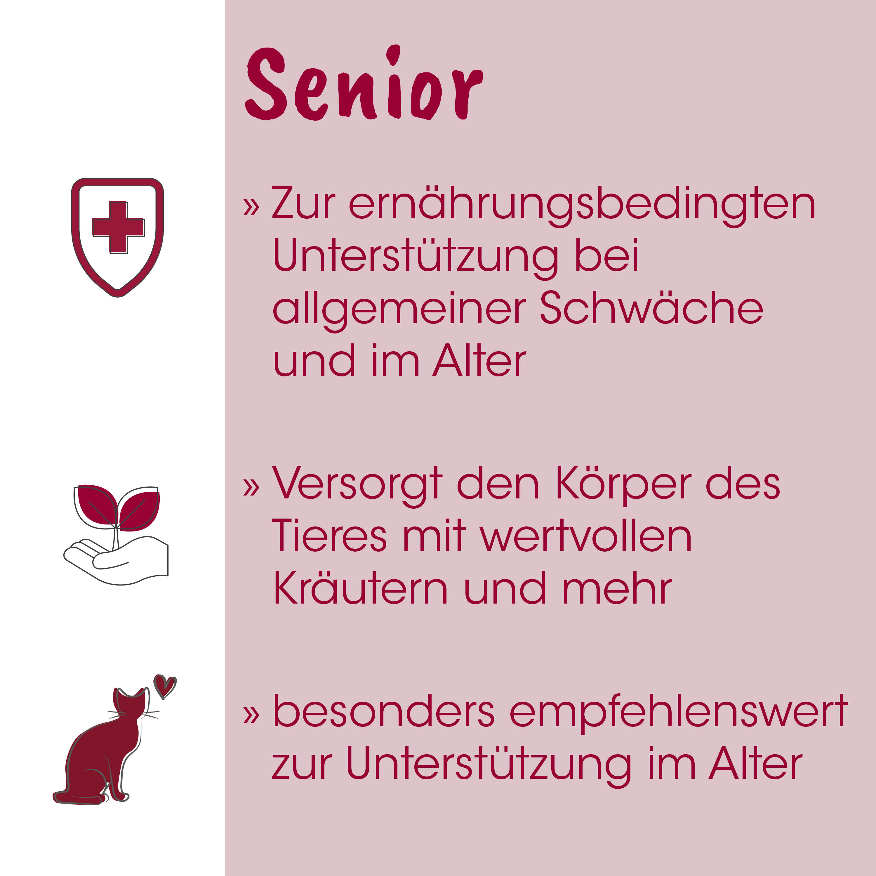 poster, infografik, senior, ernährung, pflanzen