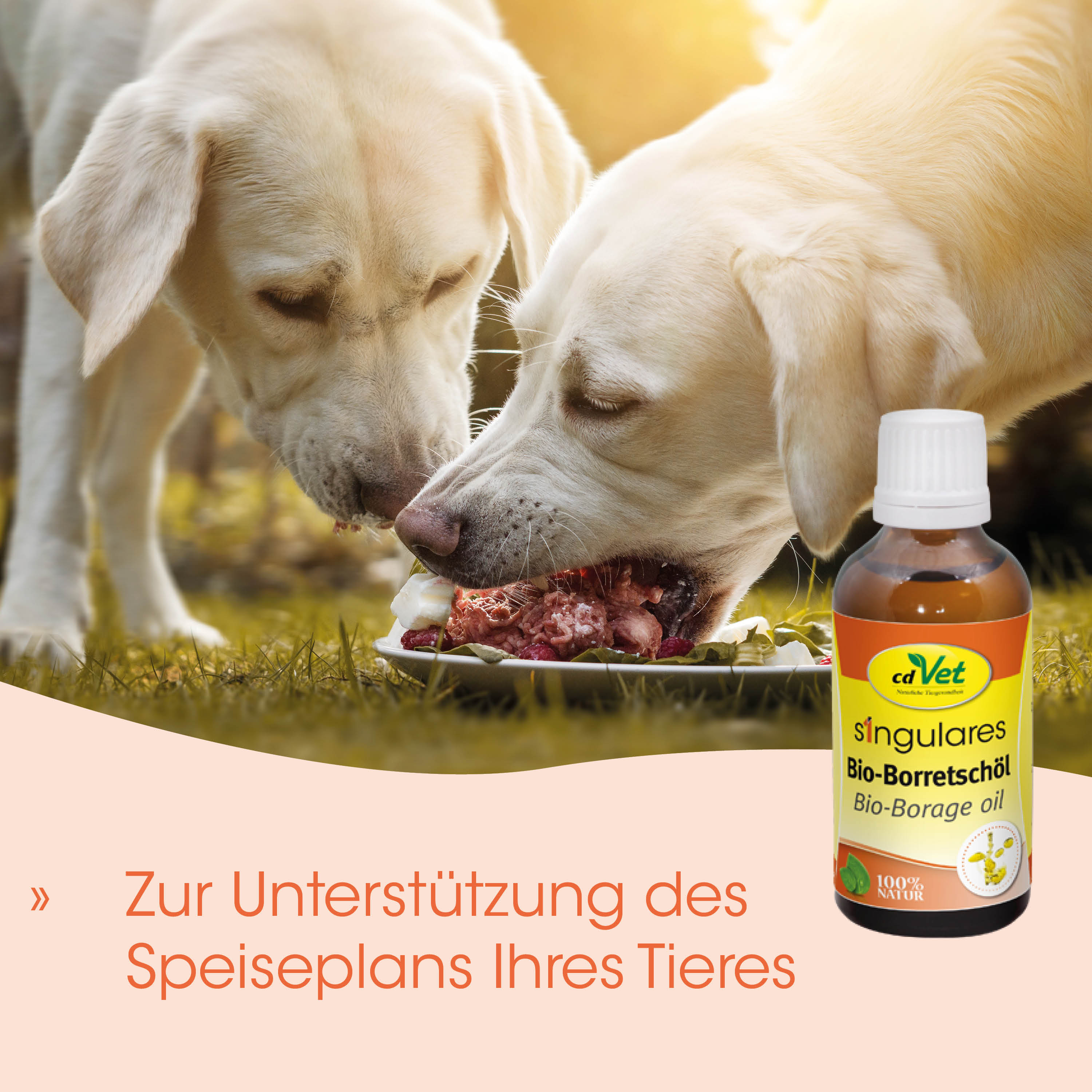 Hundefutter, Knochenbrühe, Bio-Borretschlöl, Ergänzungsnahrung, Tierprodukt