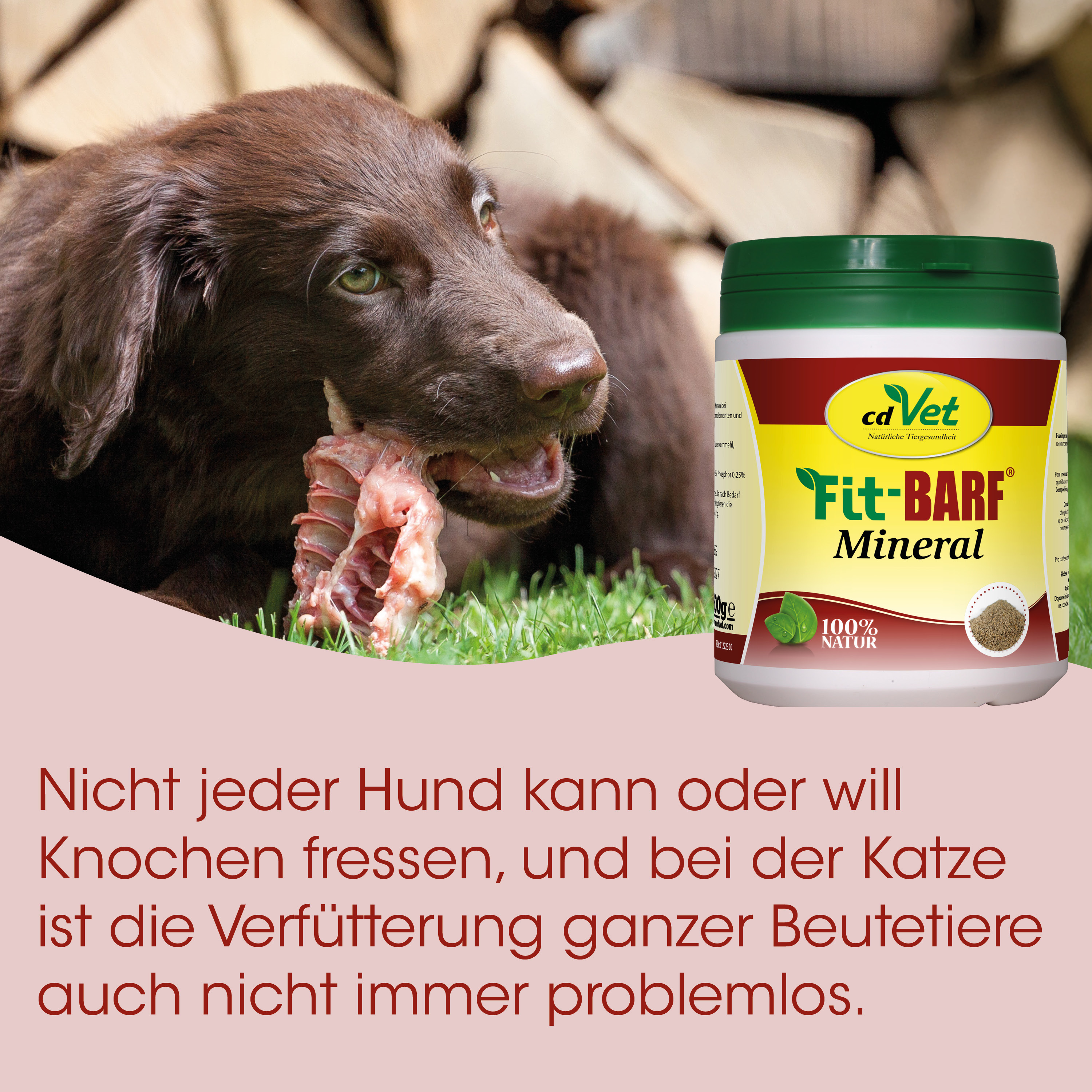 Hund-Futter, Knochenfutter, Mineralpulver, Dose/Becher, Verpackung grün