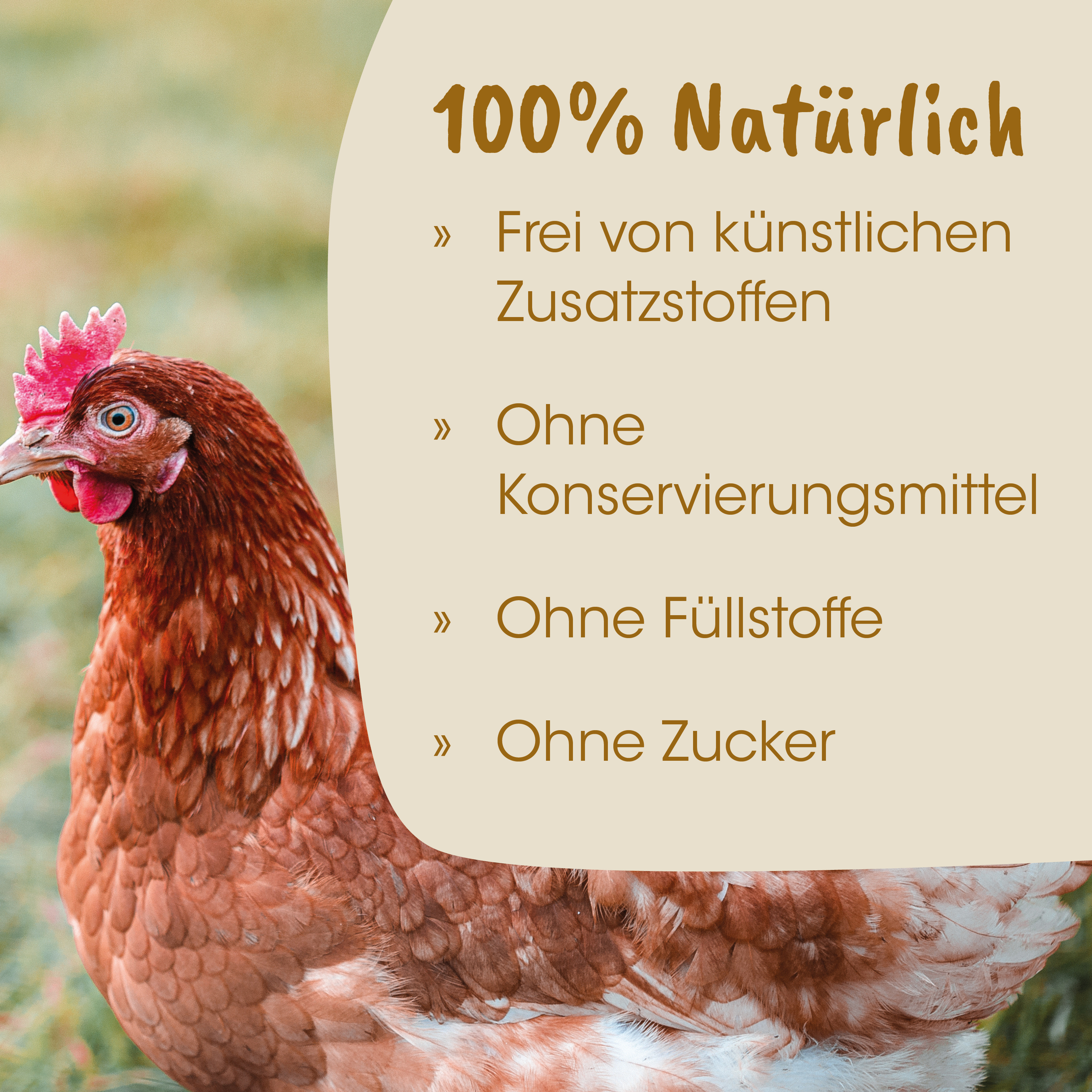 Huhn, Henne, Geflügel, Brathaube, Naturbelassen