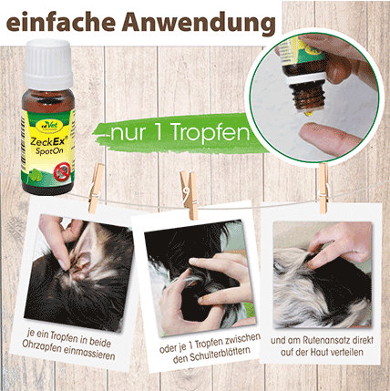 Shopbild