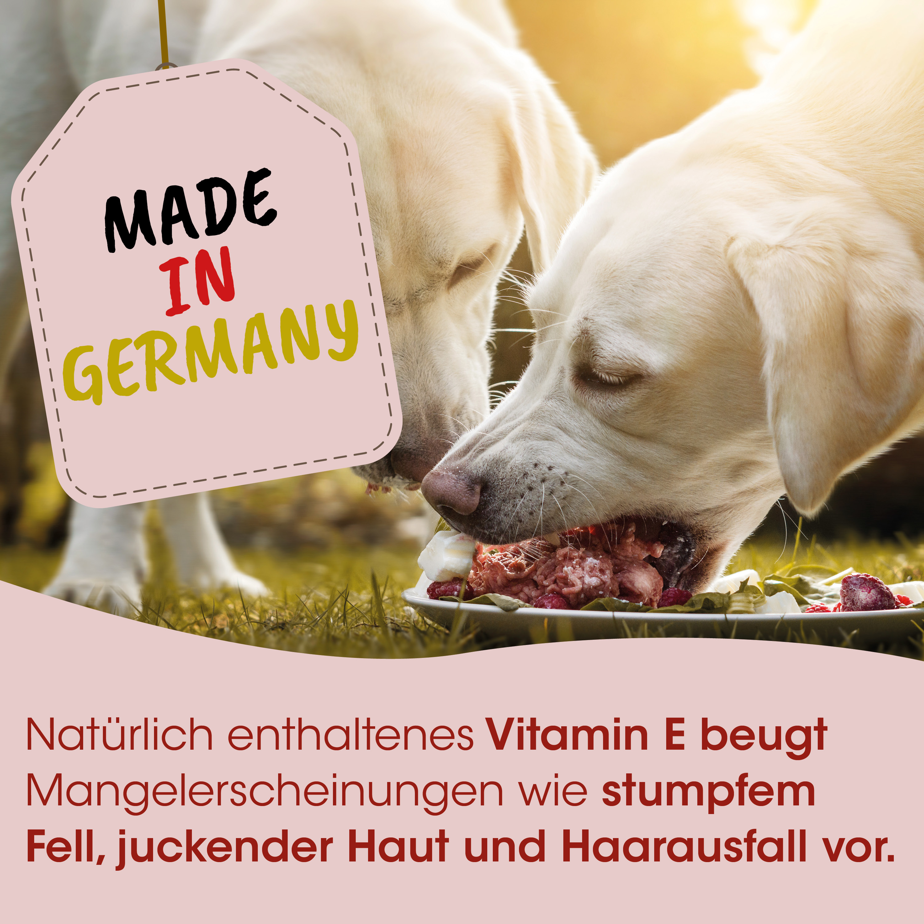 Hunde­nahrung, rohes Fleisch, Knochenmehl, Made in Germany, Hunde­nahrungsschale