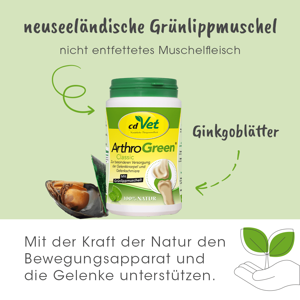 ArthroGreen Classic 345 g