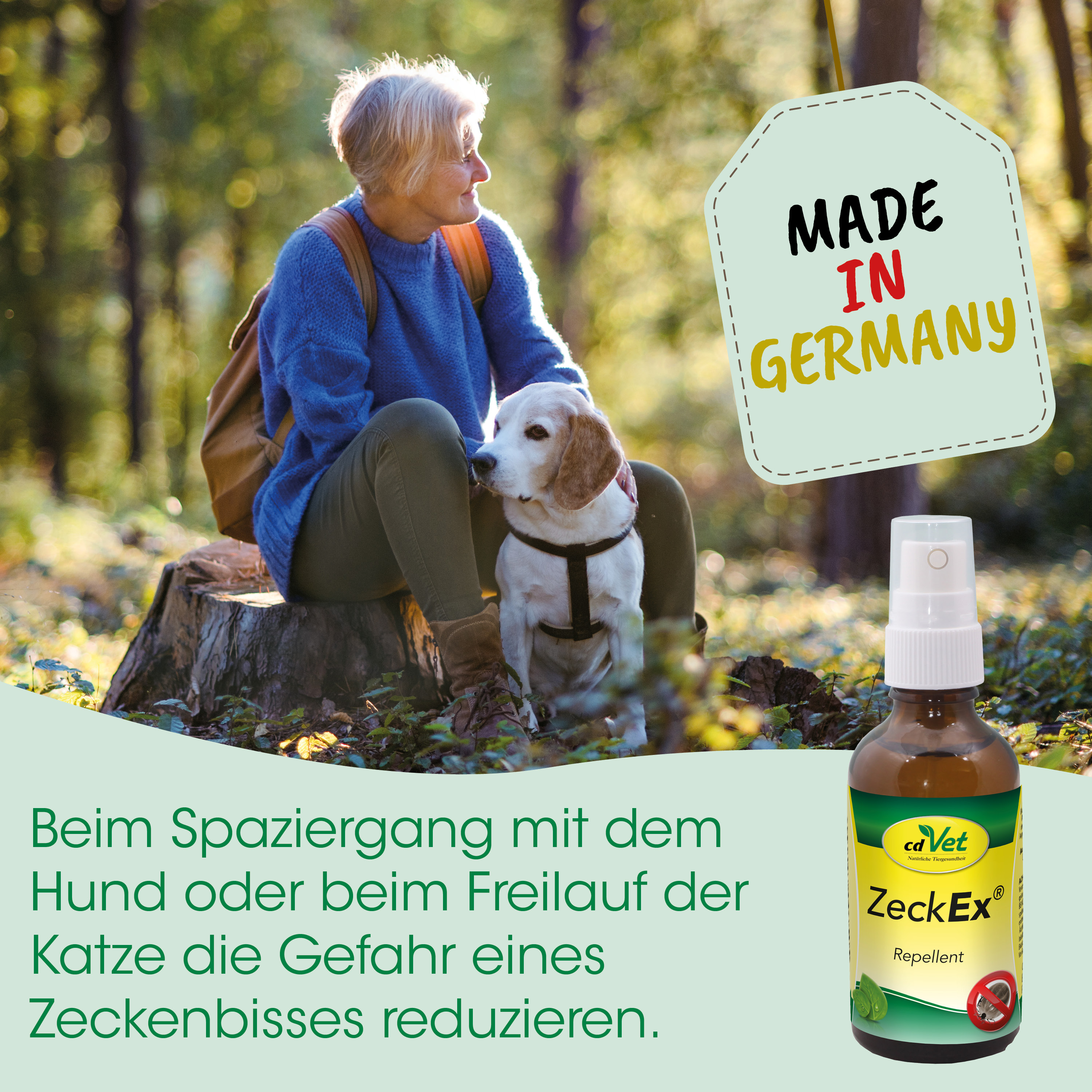 Hund, Beagle, Wald, Spray, Zeckenmittel