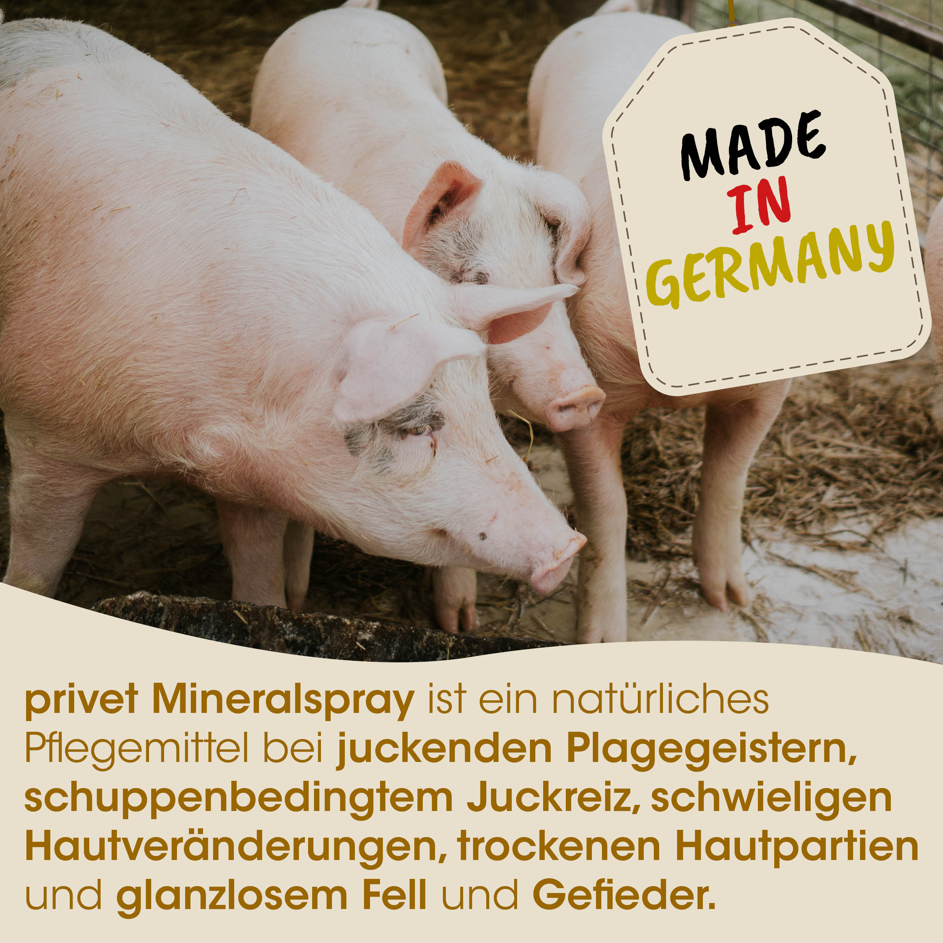 Schweine, Schweine, Made in Germany?, Tierpflege, Mineralspray