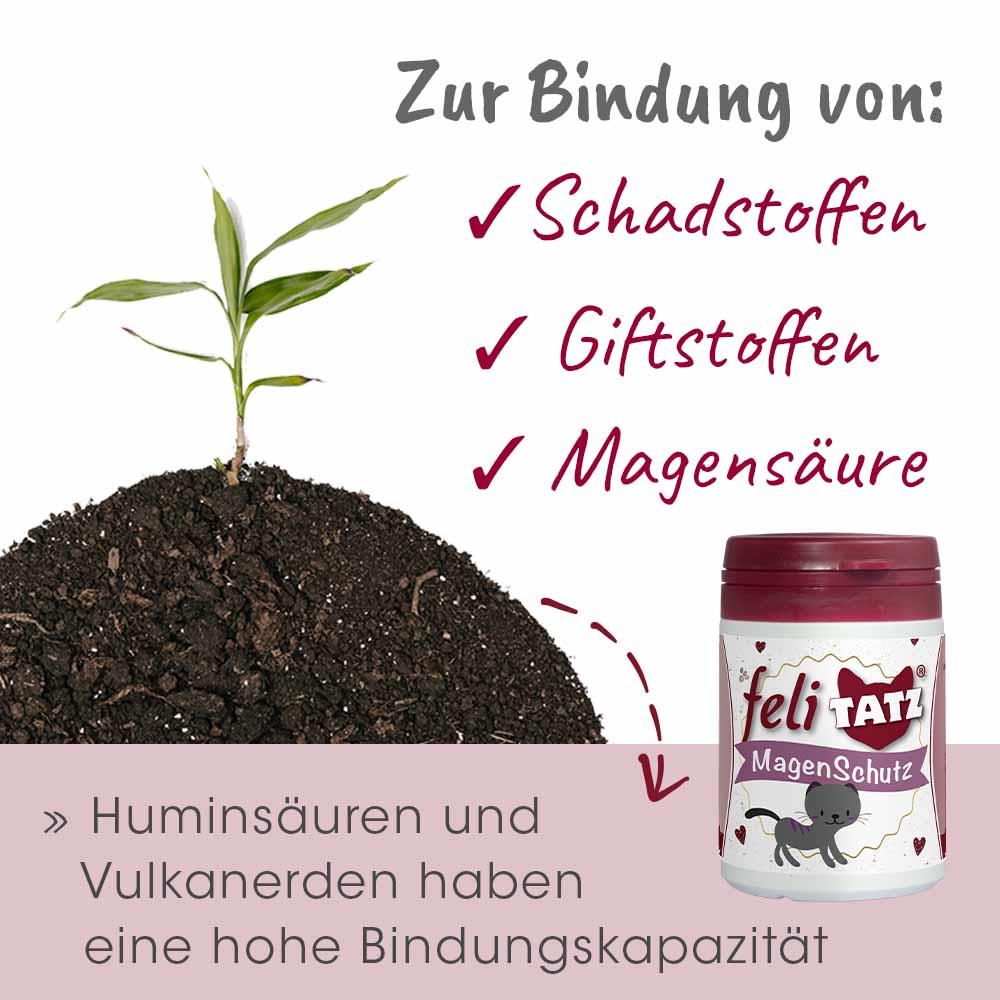Shopbild