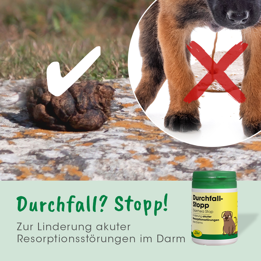 DurchfallStopp 50 g