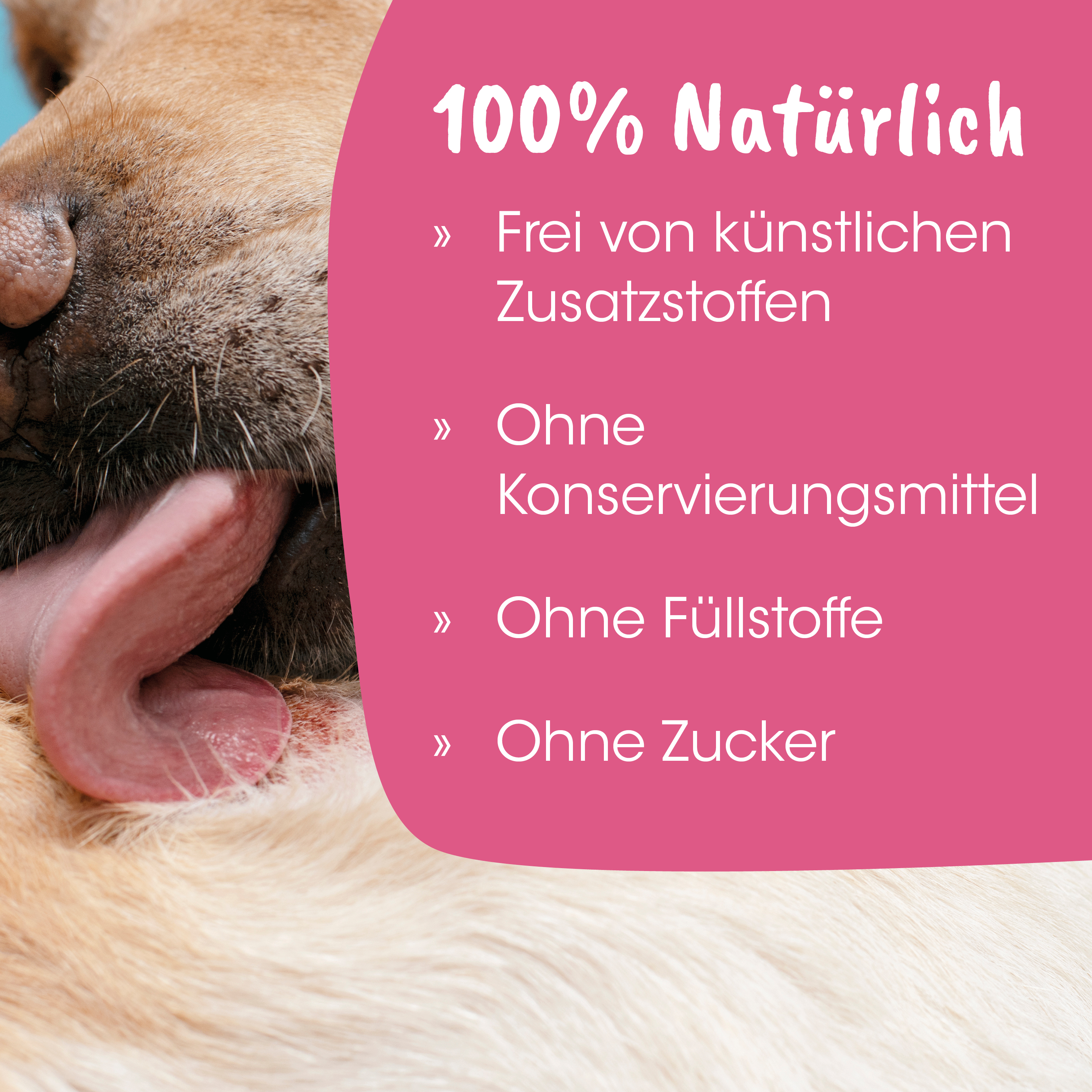 Hund, Nahaufnahme, Zunge, Fell, rosa Beschriftung