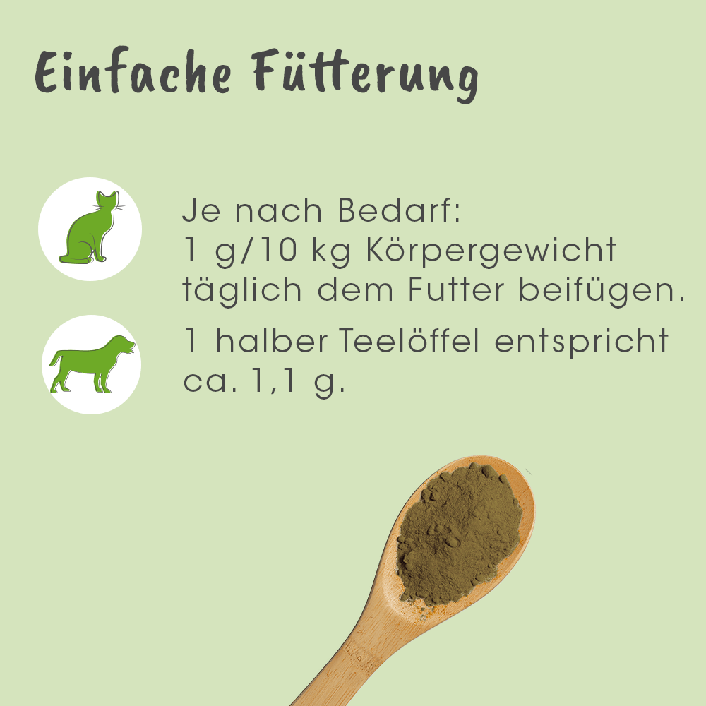 Shopbild