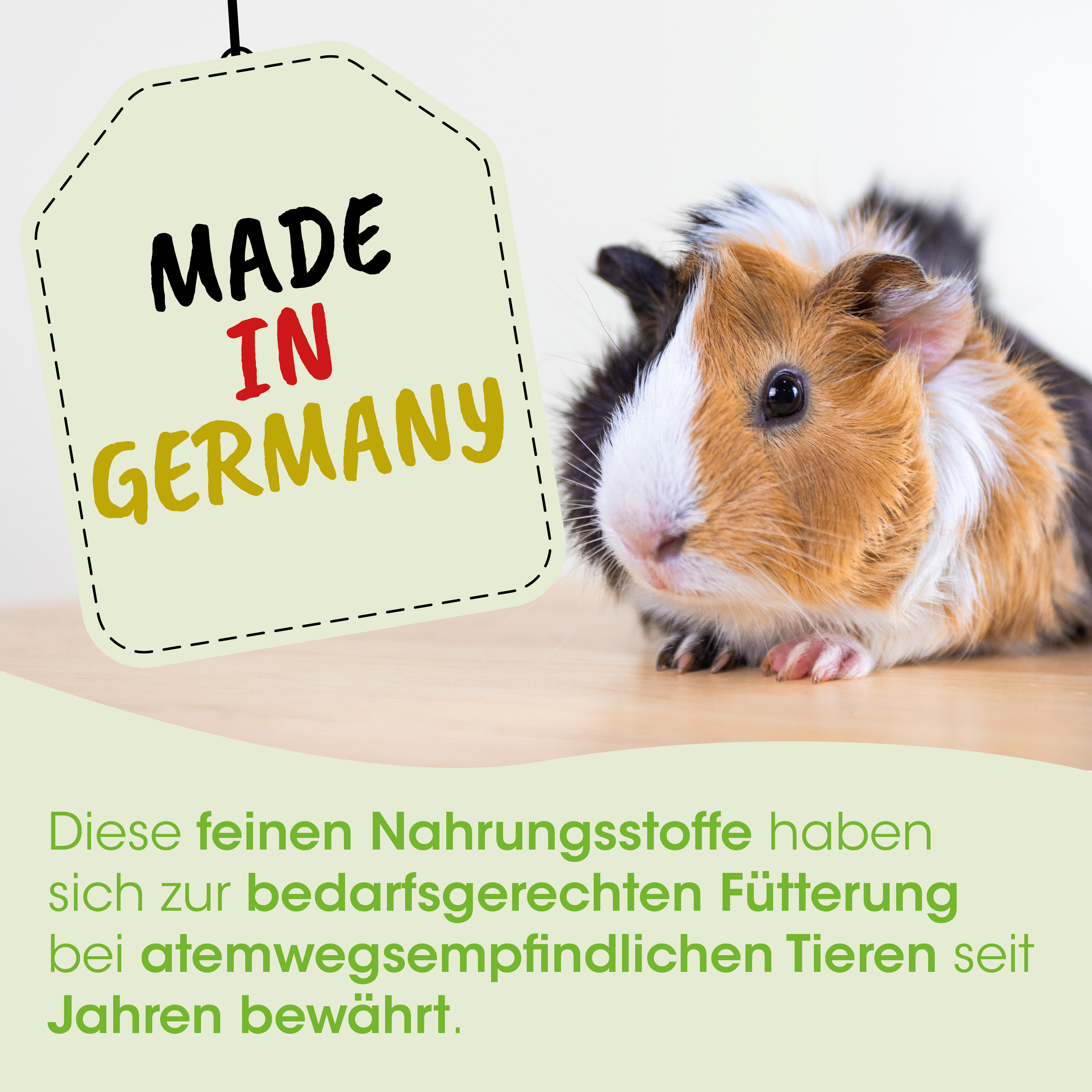 Guinea pig, Tier, Braun weiß orange Fell, Calico Muster, Made in Germany Schild