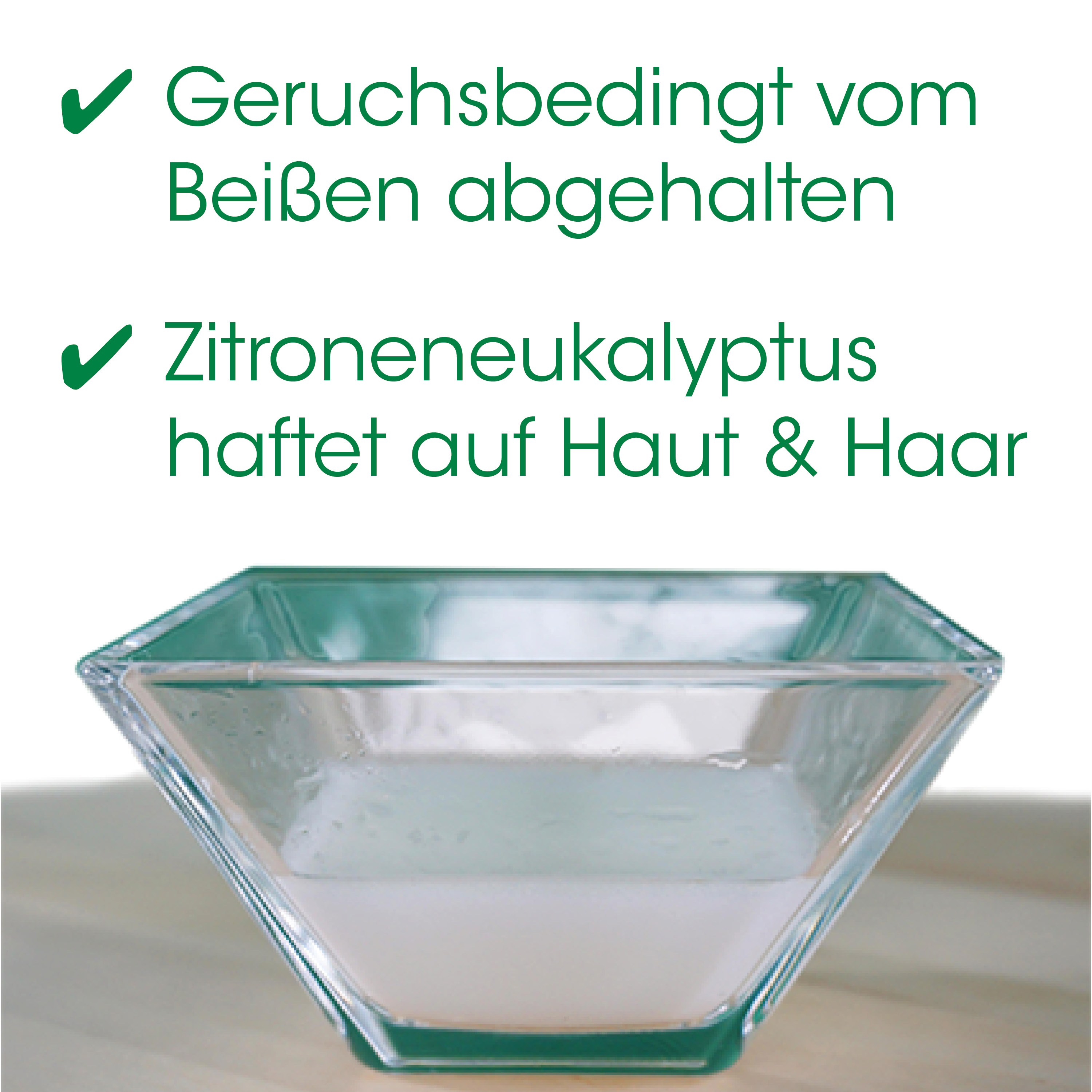 Schüssel, Glasschüssel, Vielzweck-Schüssel, Transparente Schüssel, Spülmaschinenfest
