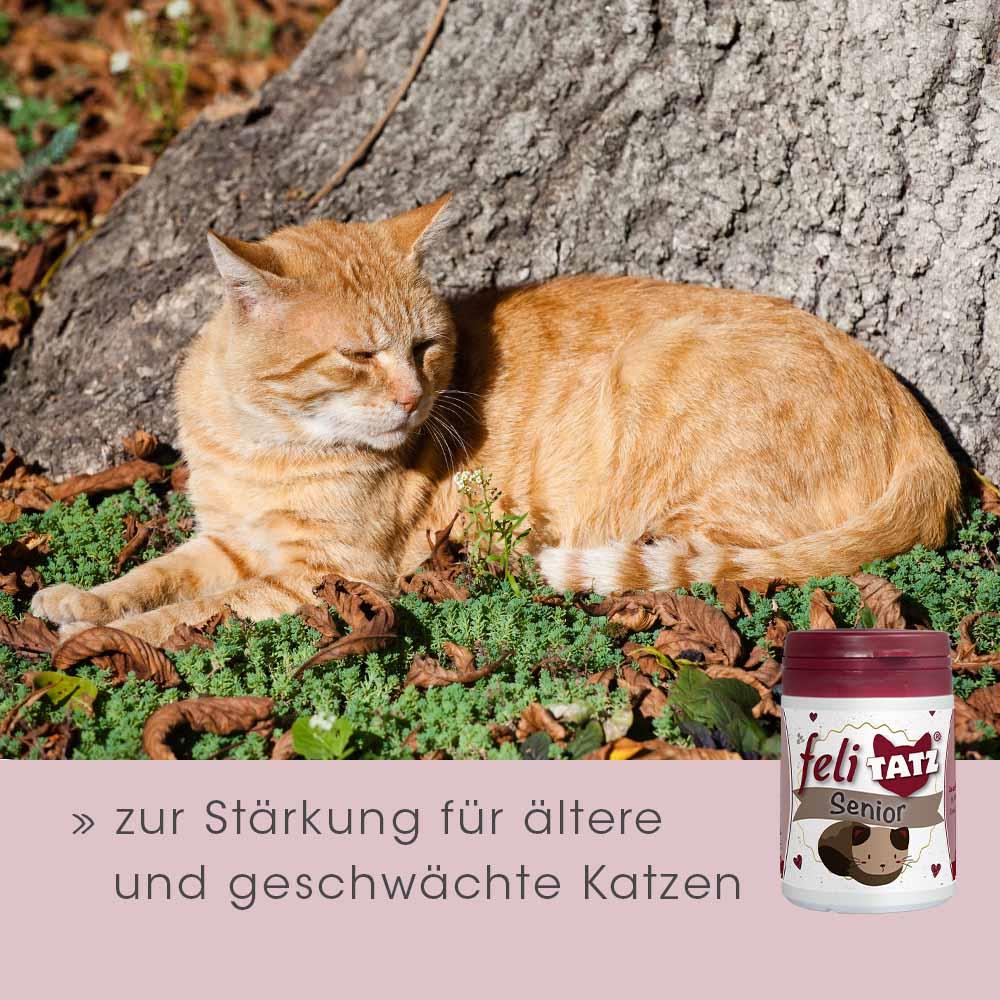 Shopbild