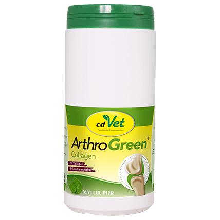 Shopbild ArthroGreen Collagen 600 g