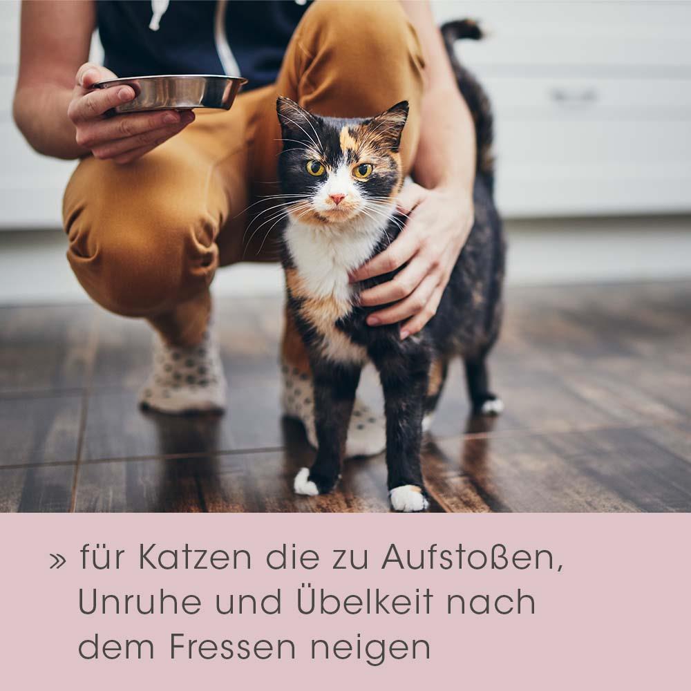 Shopbild