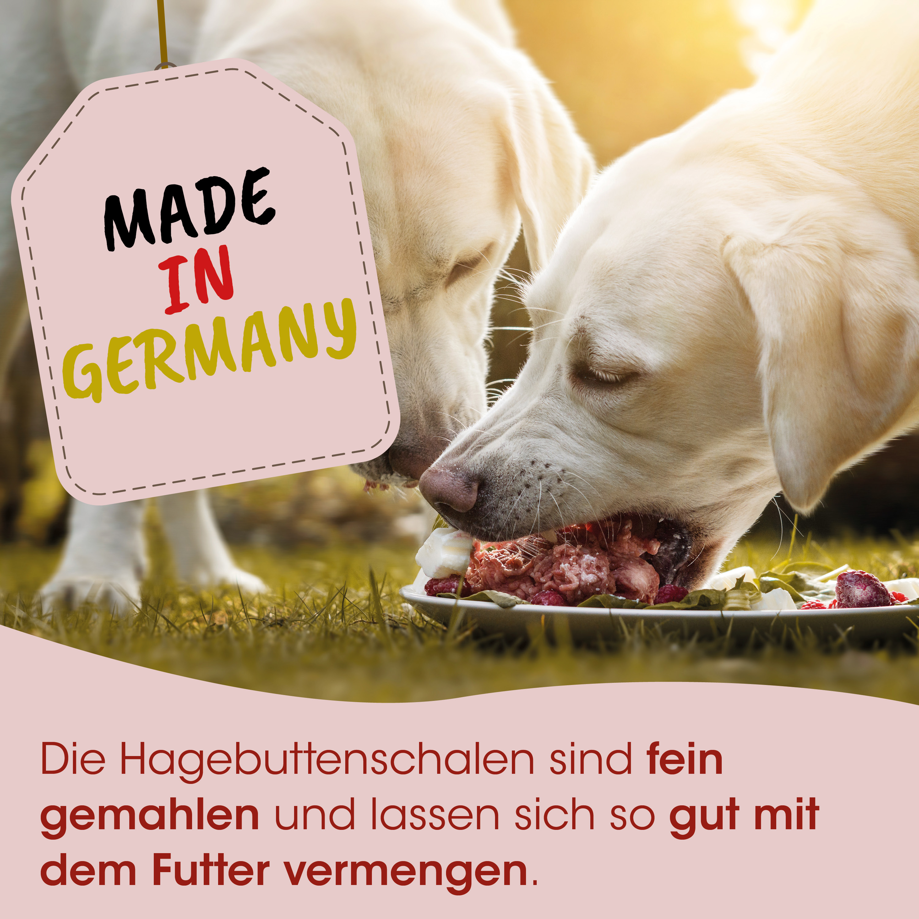Hundefeeds, rohes Fleisch, Knochenfleisch, hunde fressen, made in germany