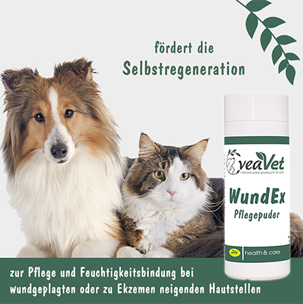 Shopbild