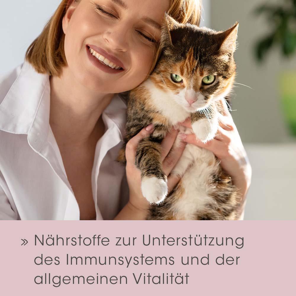 Shopbild Kopf, Gesicht, Doktor, Portrait, Katze