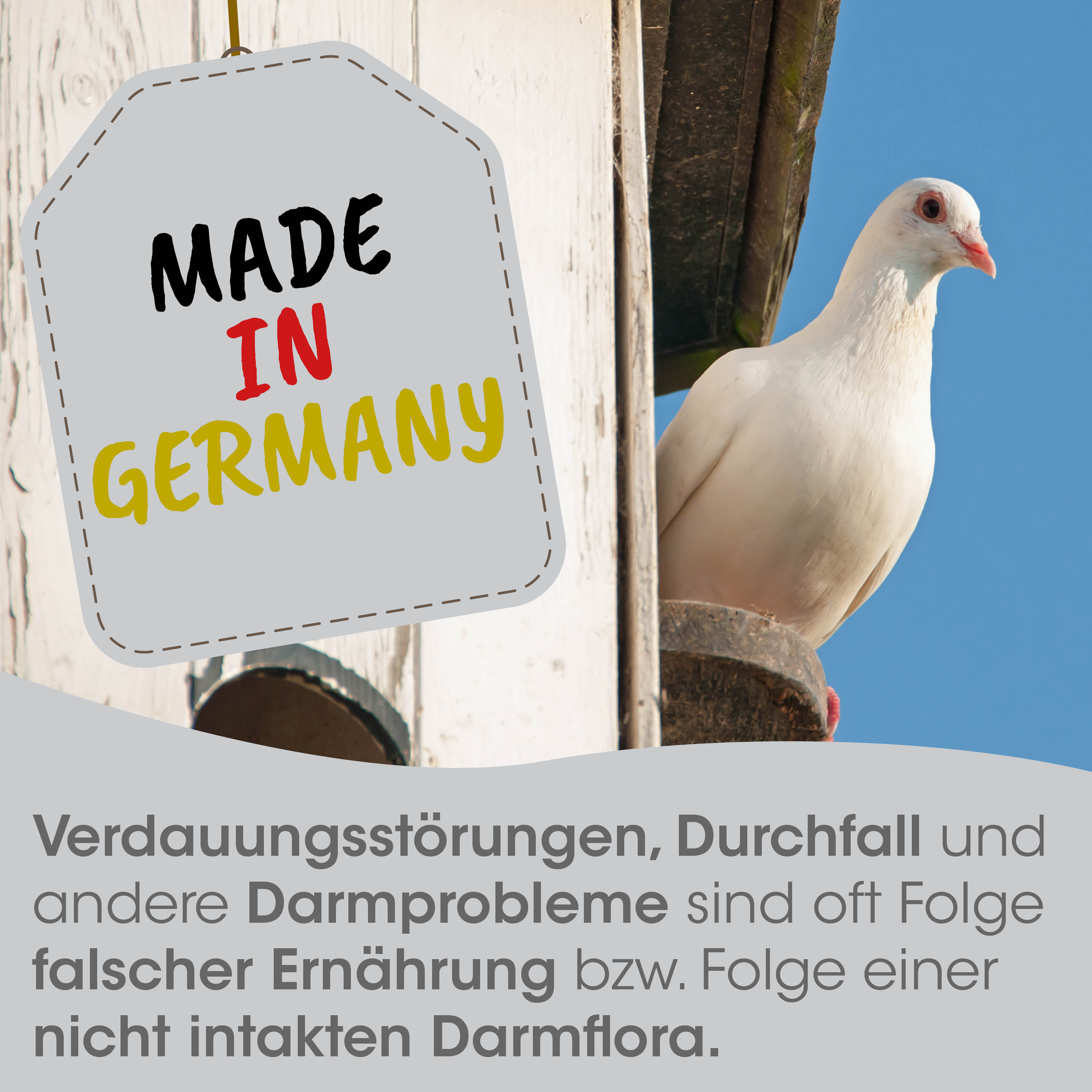 Made in Germany, Taube, weißer Vogel, Aufhänger, Sitzend