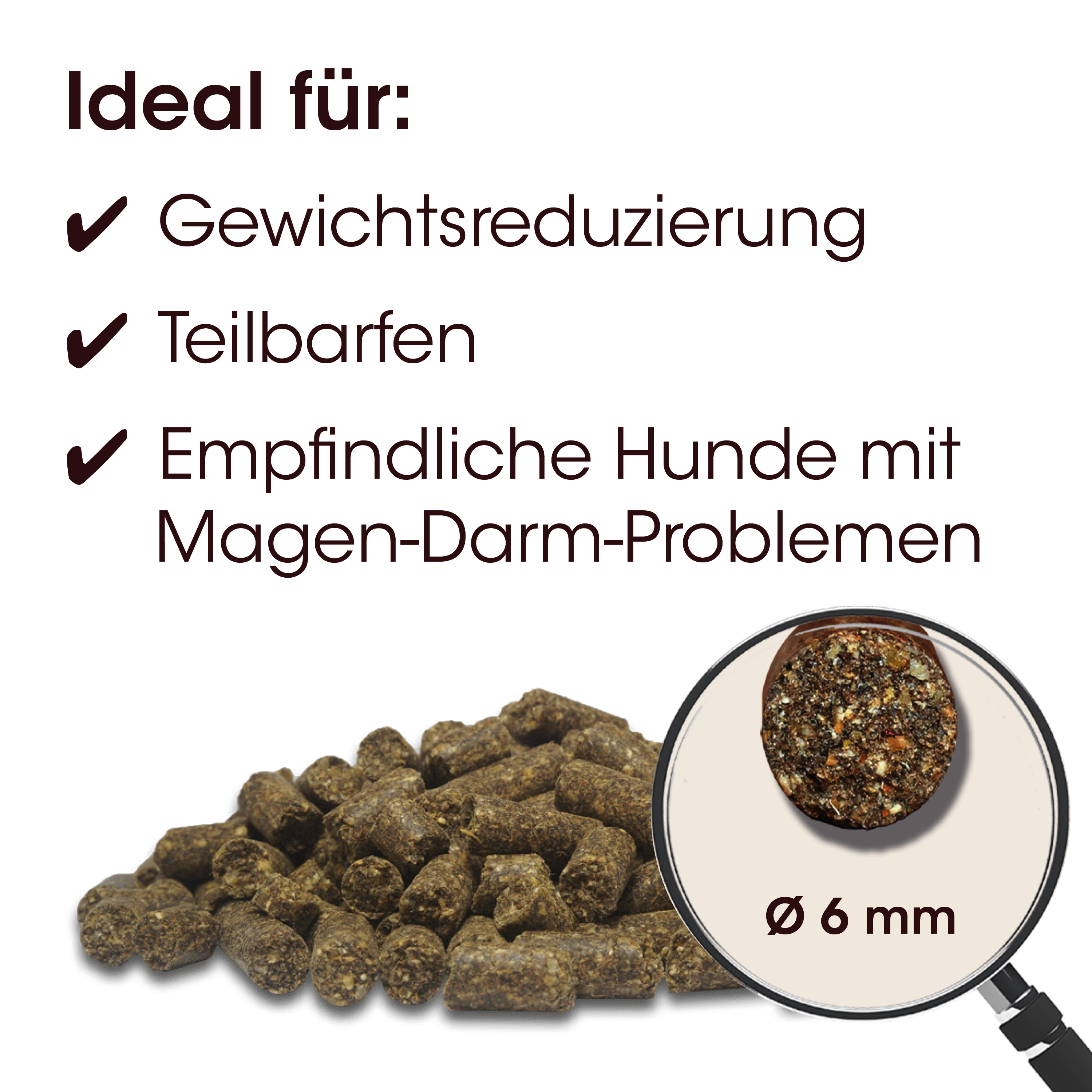 Hundekuchen, Körnerfutter, Trockennahrung, Hundeleckerlis, Dog treats