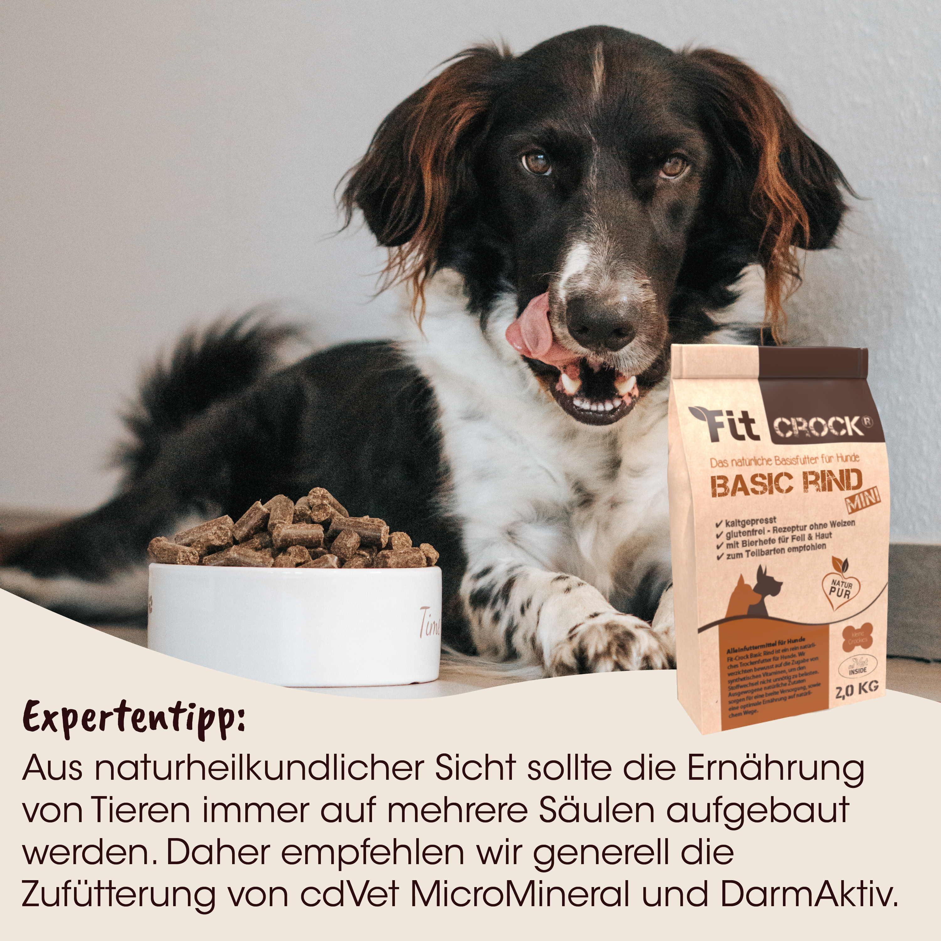 Hund, Kausnacks, Hundefutter, Bonetrock, Büffelprotein