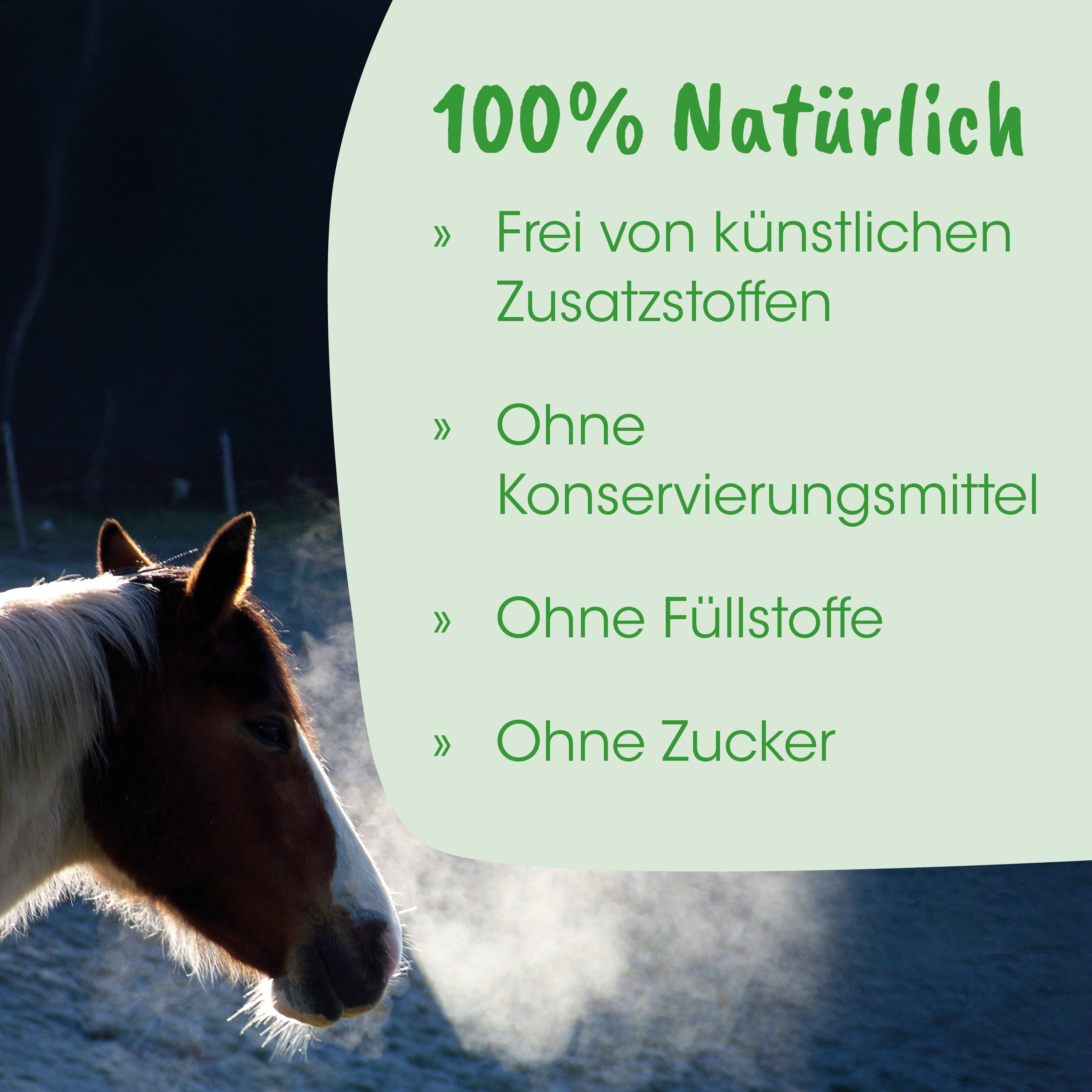 Pferd, Pferdekopf, Pferdehaar, Profil, Dampf