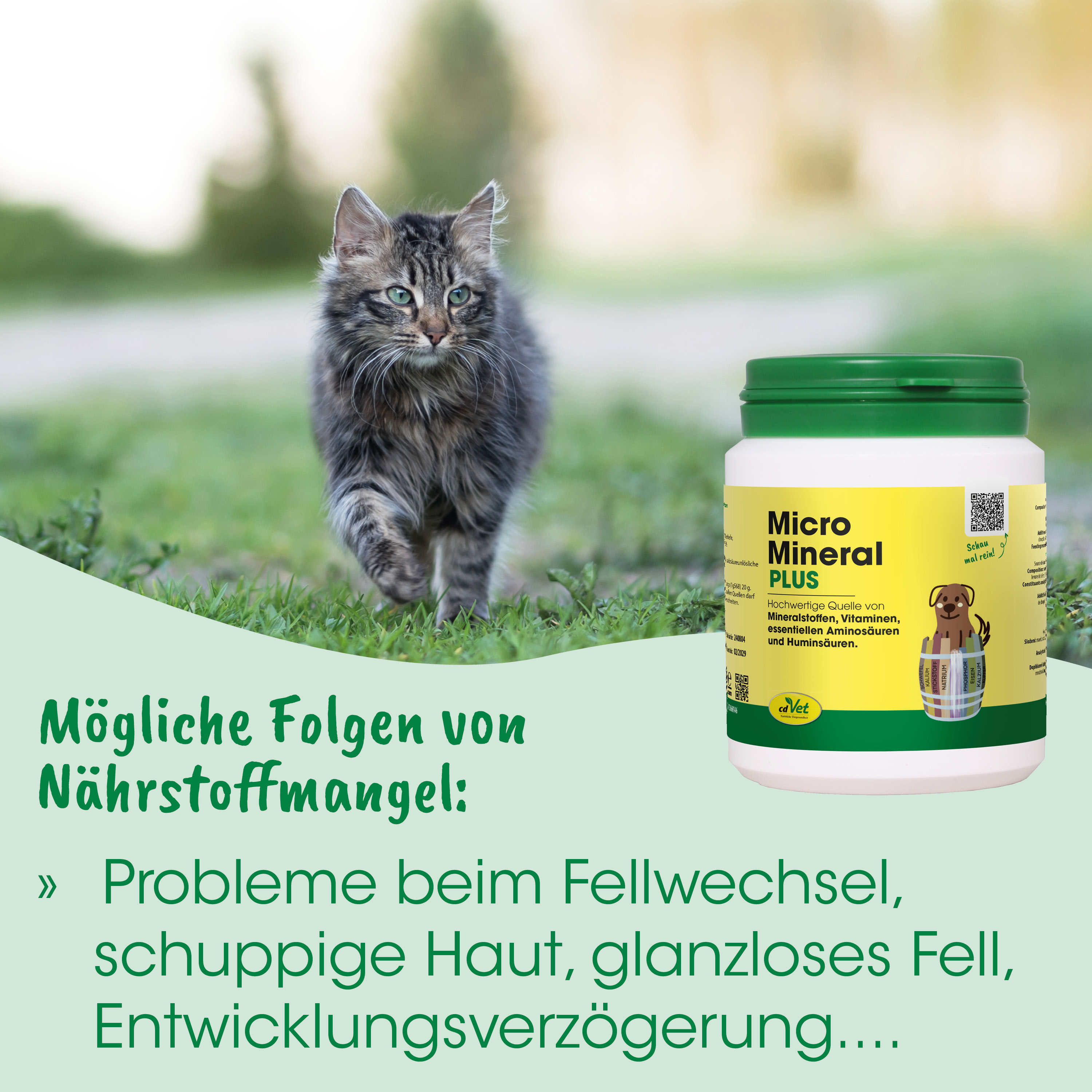 Katzenfutter, Katzenmineral, Nahrungszusatz, Grüner Deckel, Gelbe Dose
