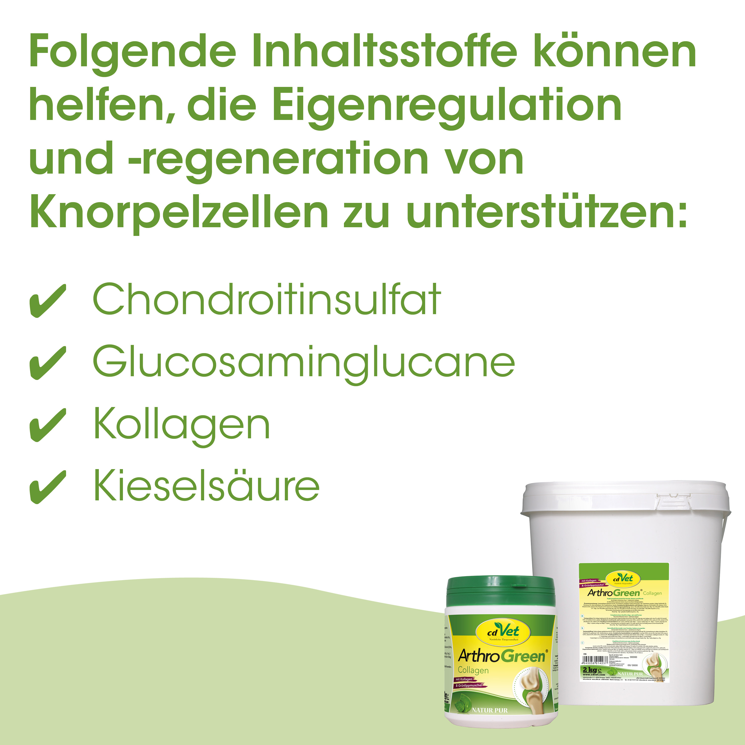 Collagen, Kollagen, Kieselsäure, Chondrotinsulfat?, Glucosaminoglycane?