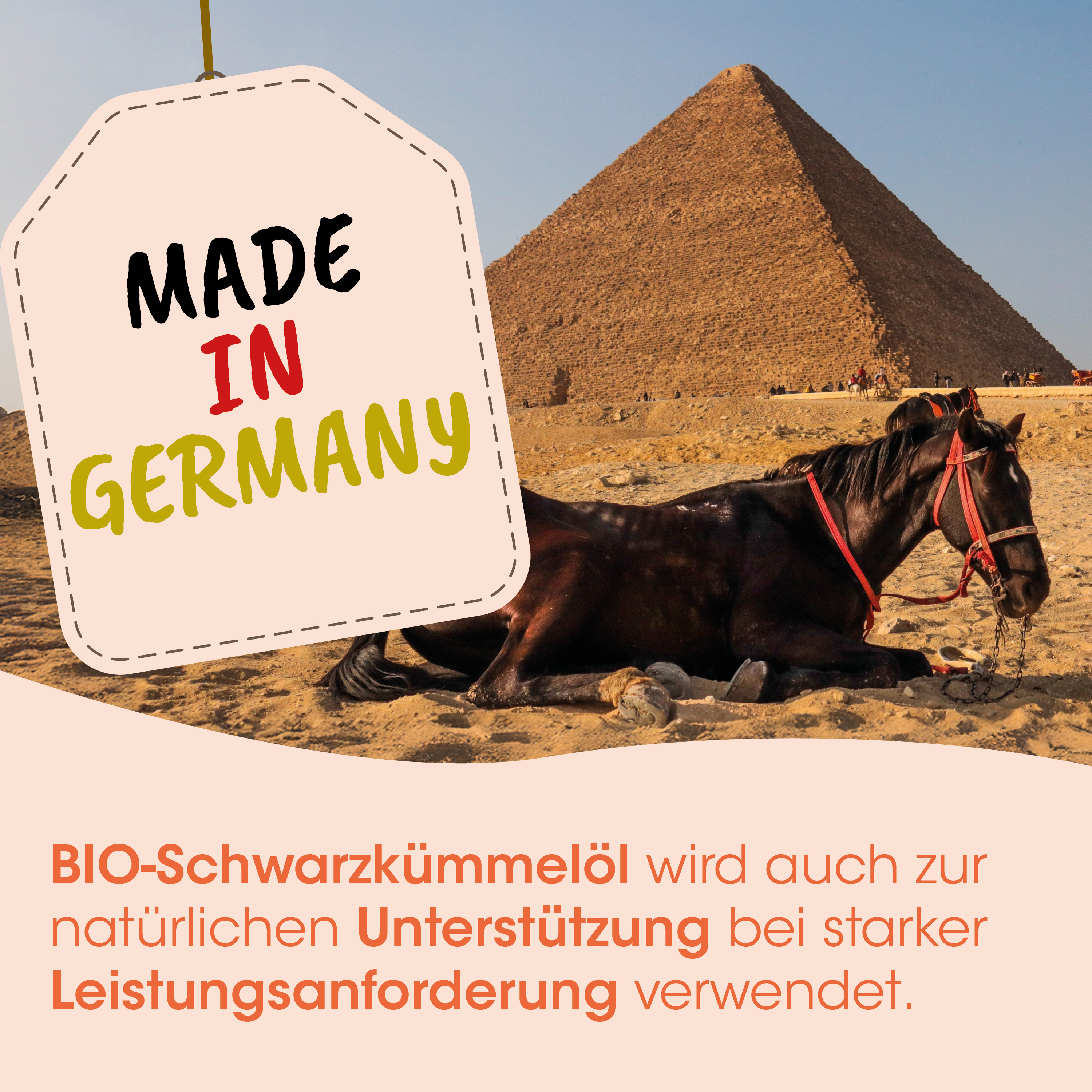 Pferd, Wüste, Pyramide, Nehands?