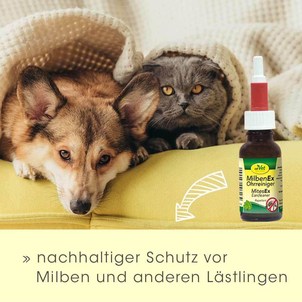 Shopbild