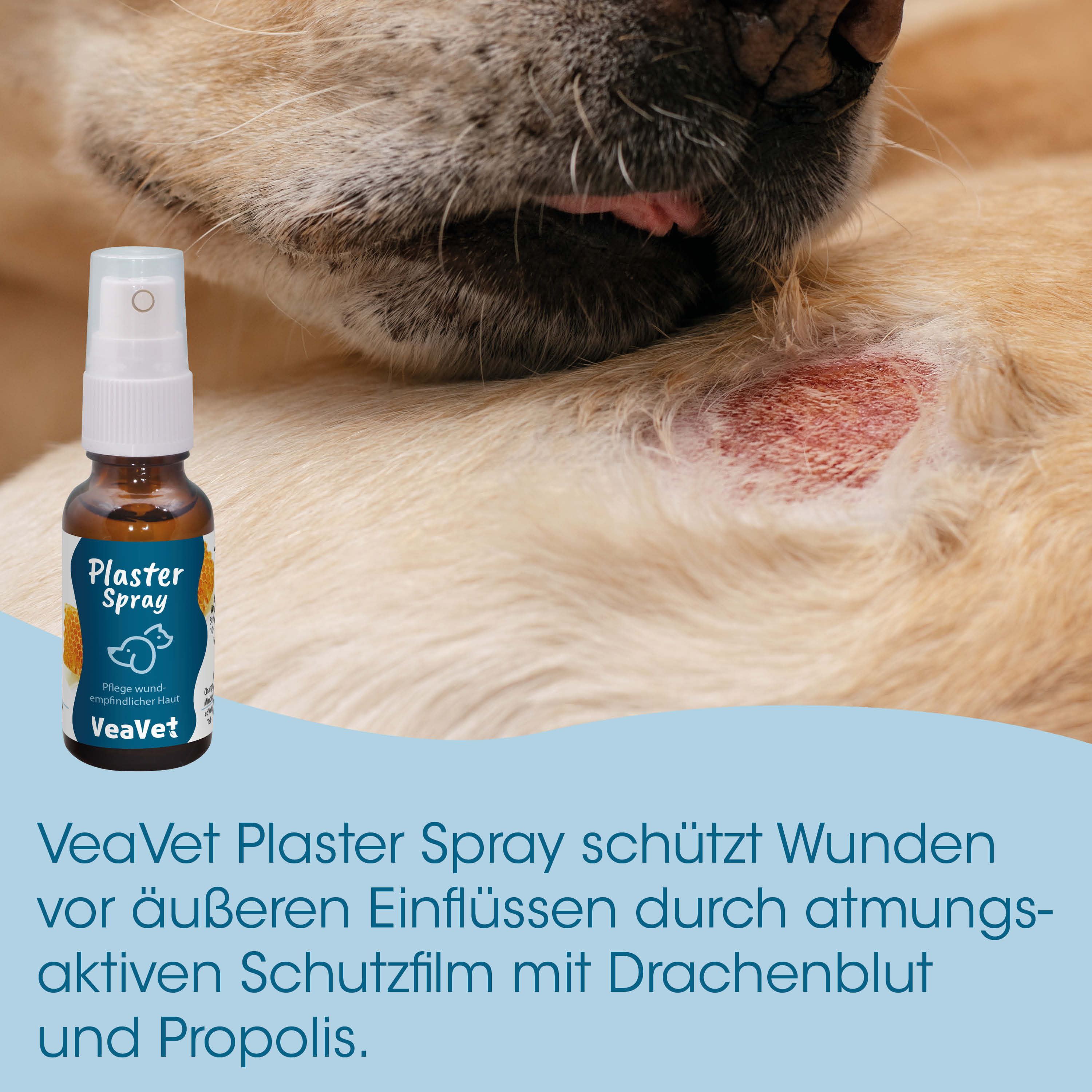 Hund, Wunde, Spray, Propolis, Drachenblut