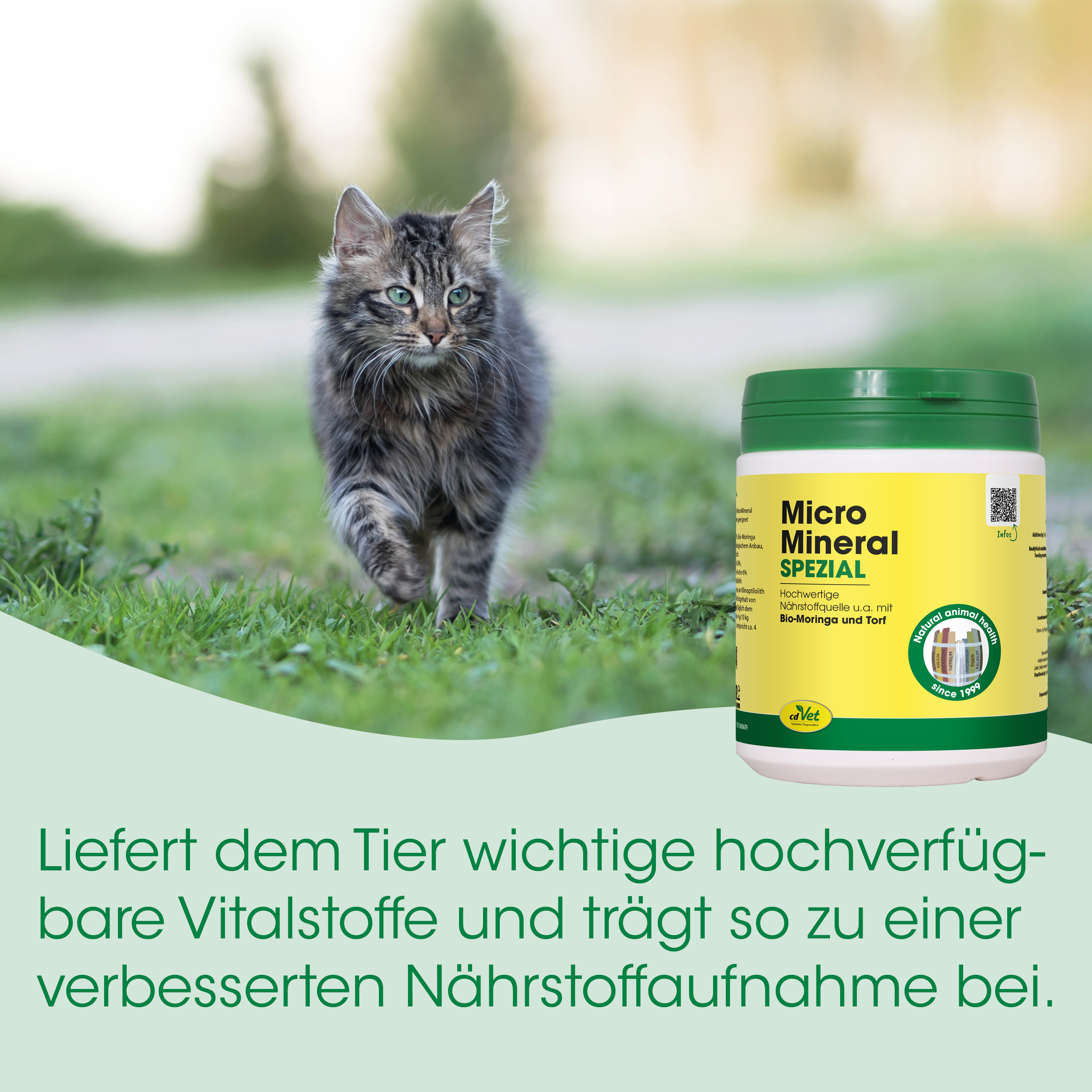 Katze, Katzenfutter, Katzenmineral, Haustierpflege, Nahrungsergänzung
