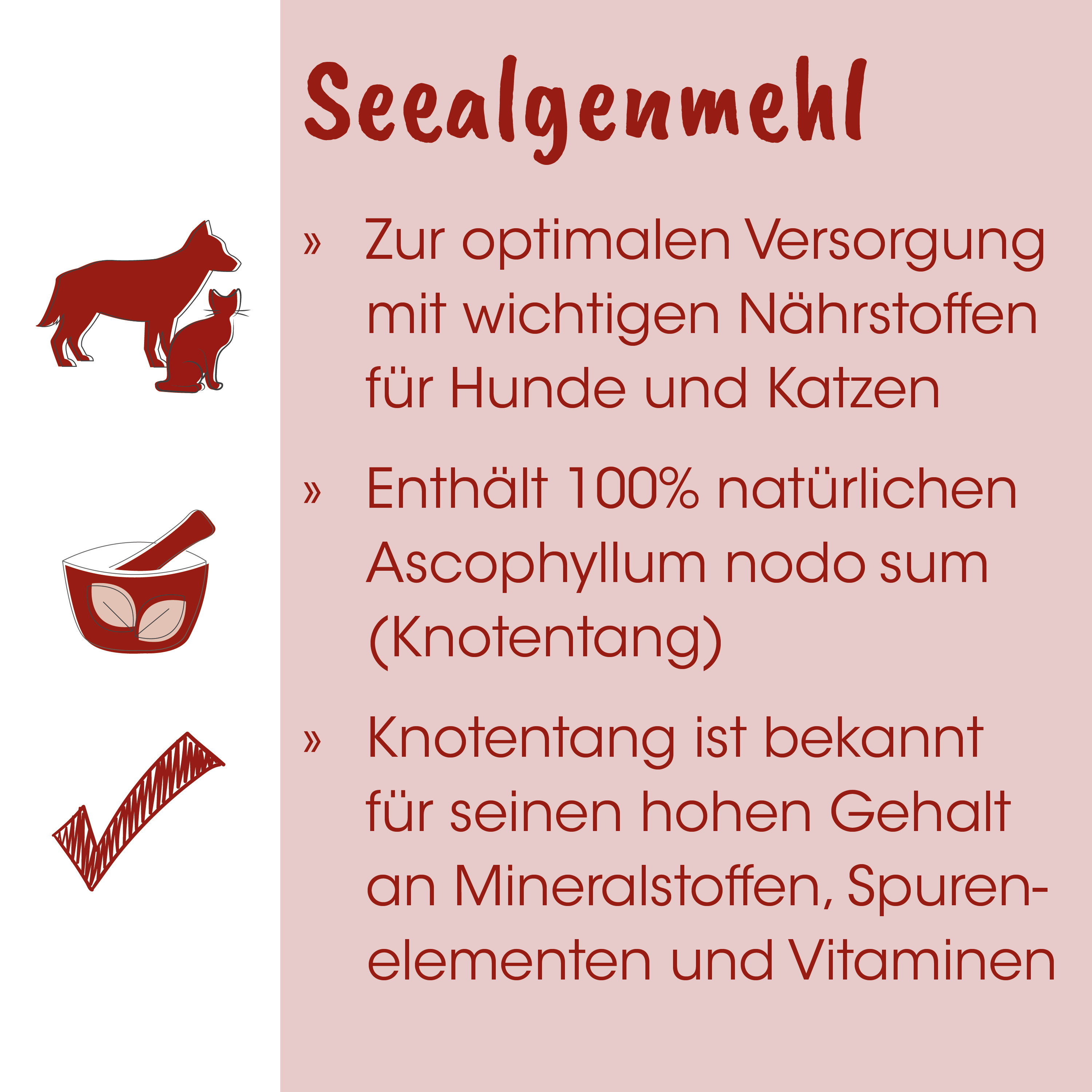 Hund, Katz, Schüssel, Bemalt, Klinge