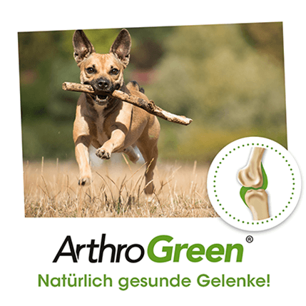 ArthroGreen Classic 345 g