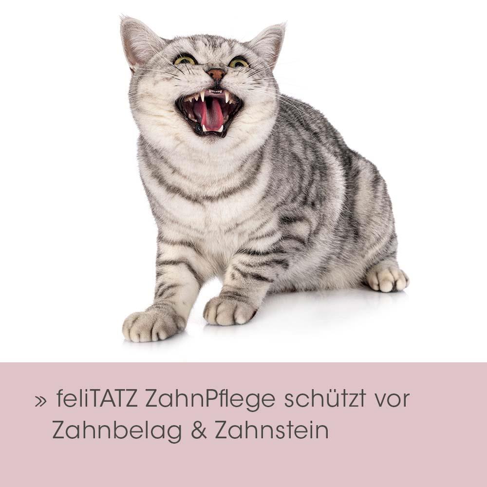 Shopbild