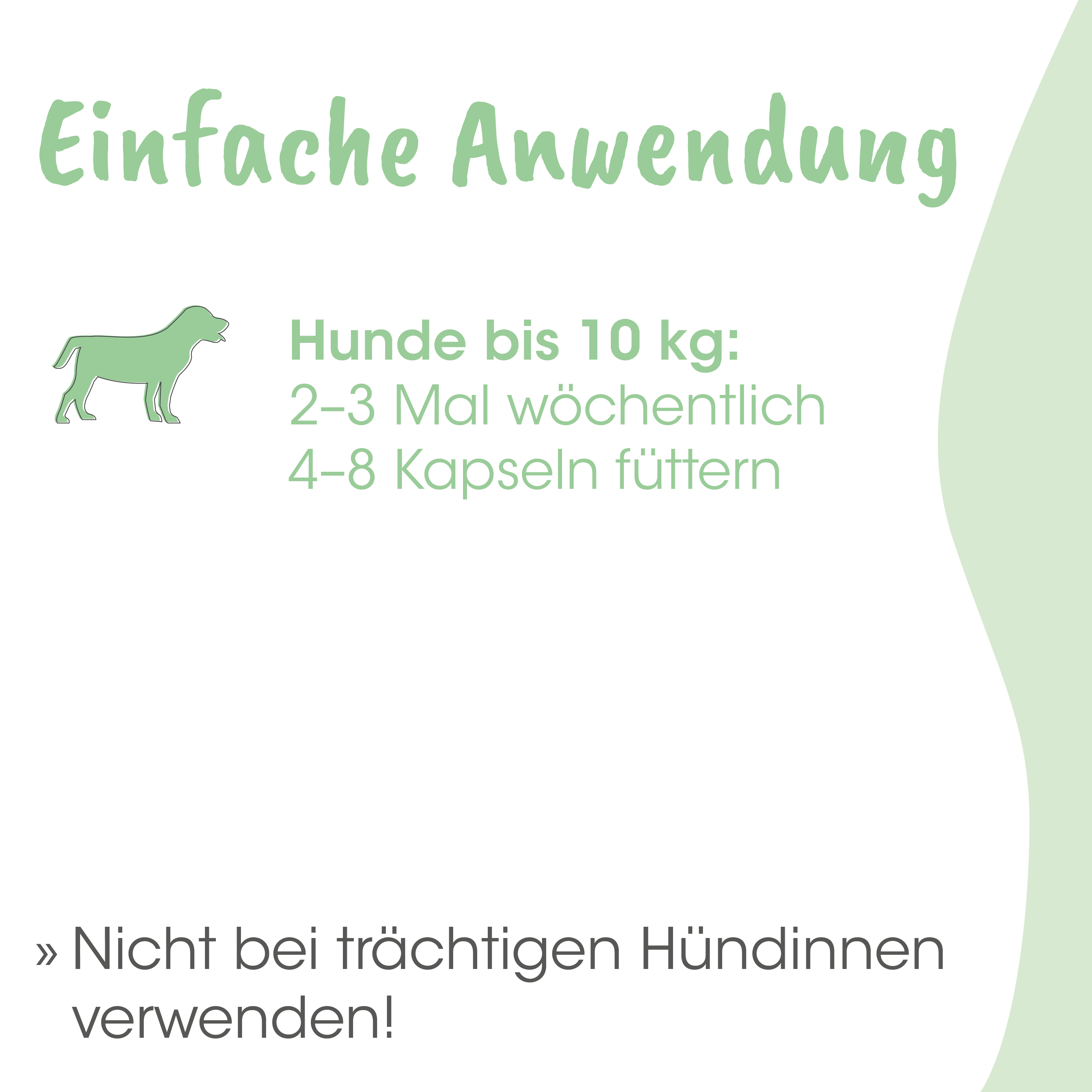 Hund, Kapseln, Futter, Hunde, Kostenvorschrift