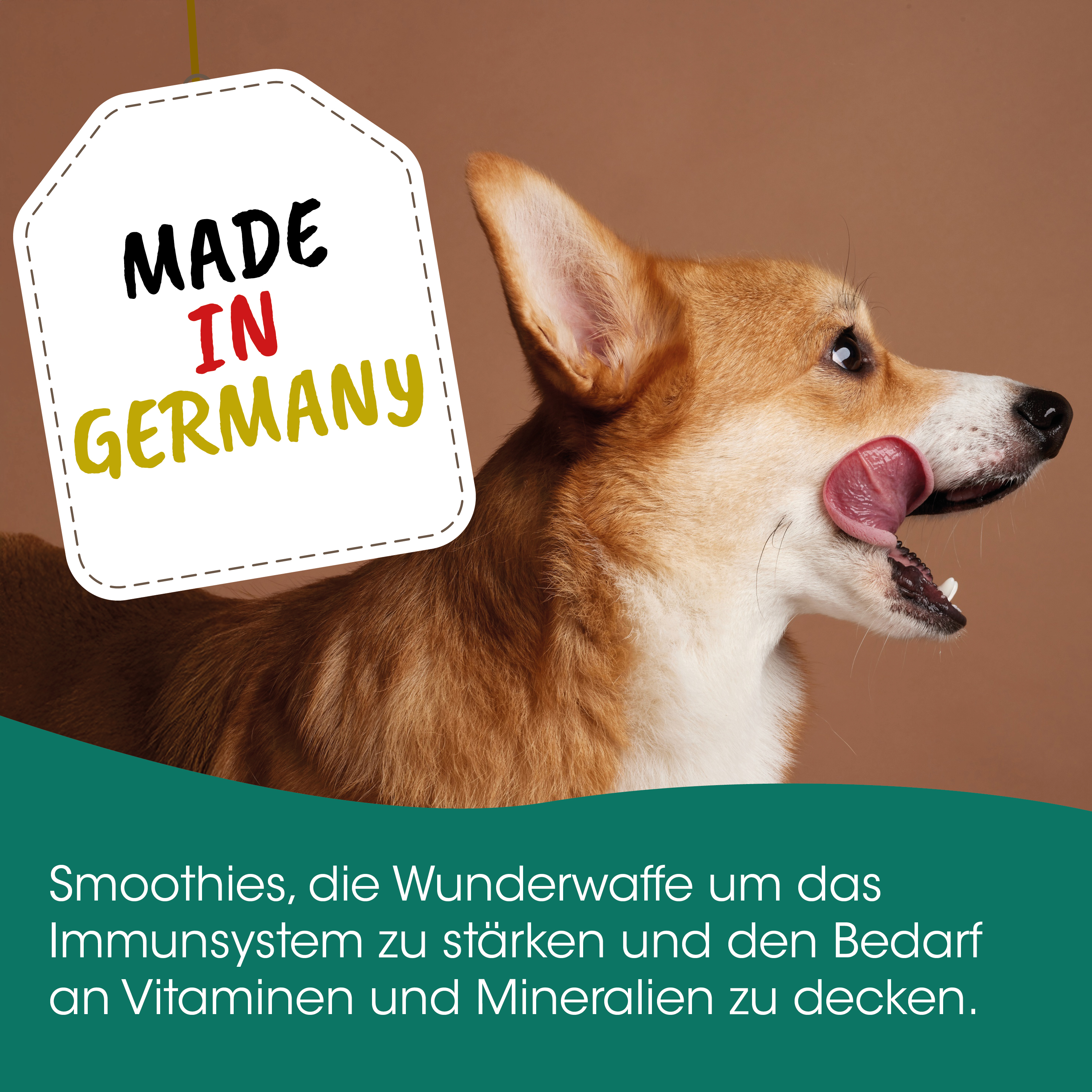 Hund, Hunde-Image, Made in Germany, Welpe, Promo-Design