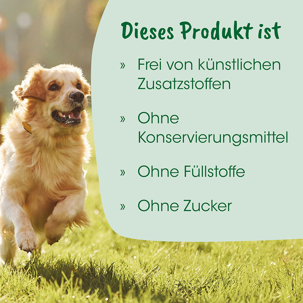 Hund, Hund im Freien, Gold/Beige Fell, Collie-Hund, Sportlicher Hund