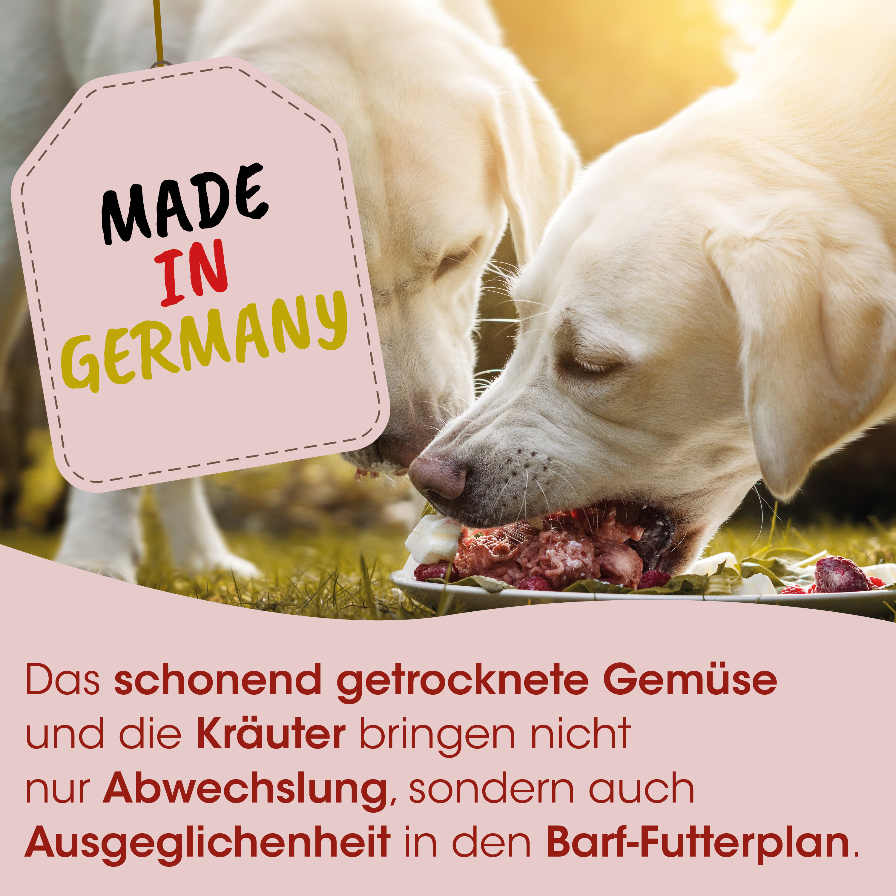 Hund, Futtermittel, Hundefutter, Beef/Fleisch, Kräuter