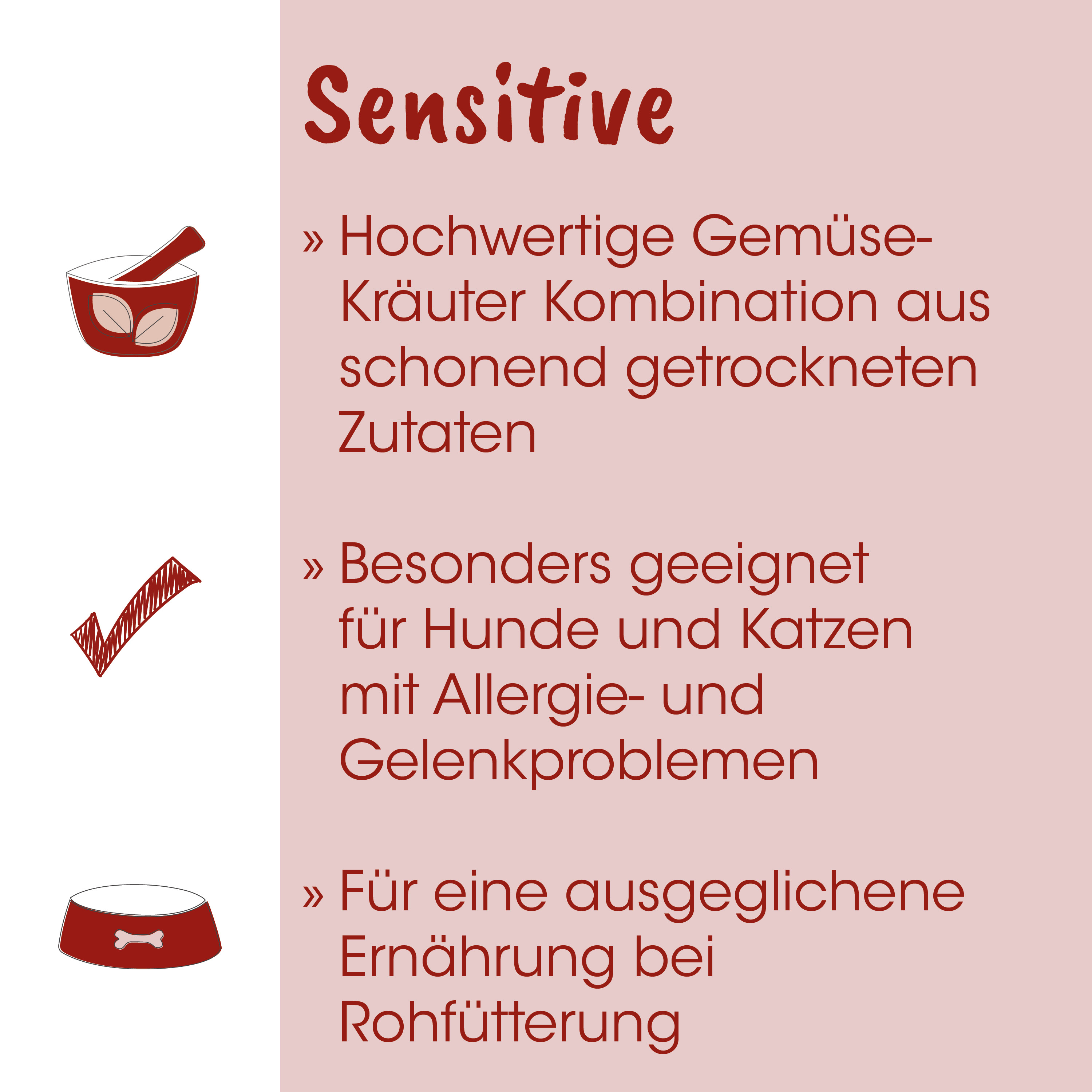 kompakt, futterdose, futterbehälter, tierfutter, hund/katzenernährung