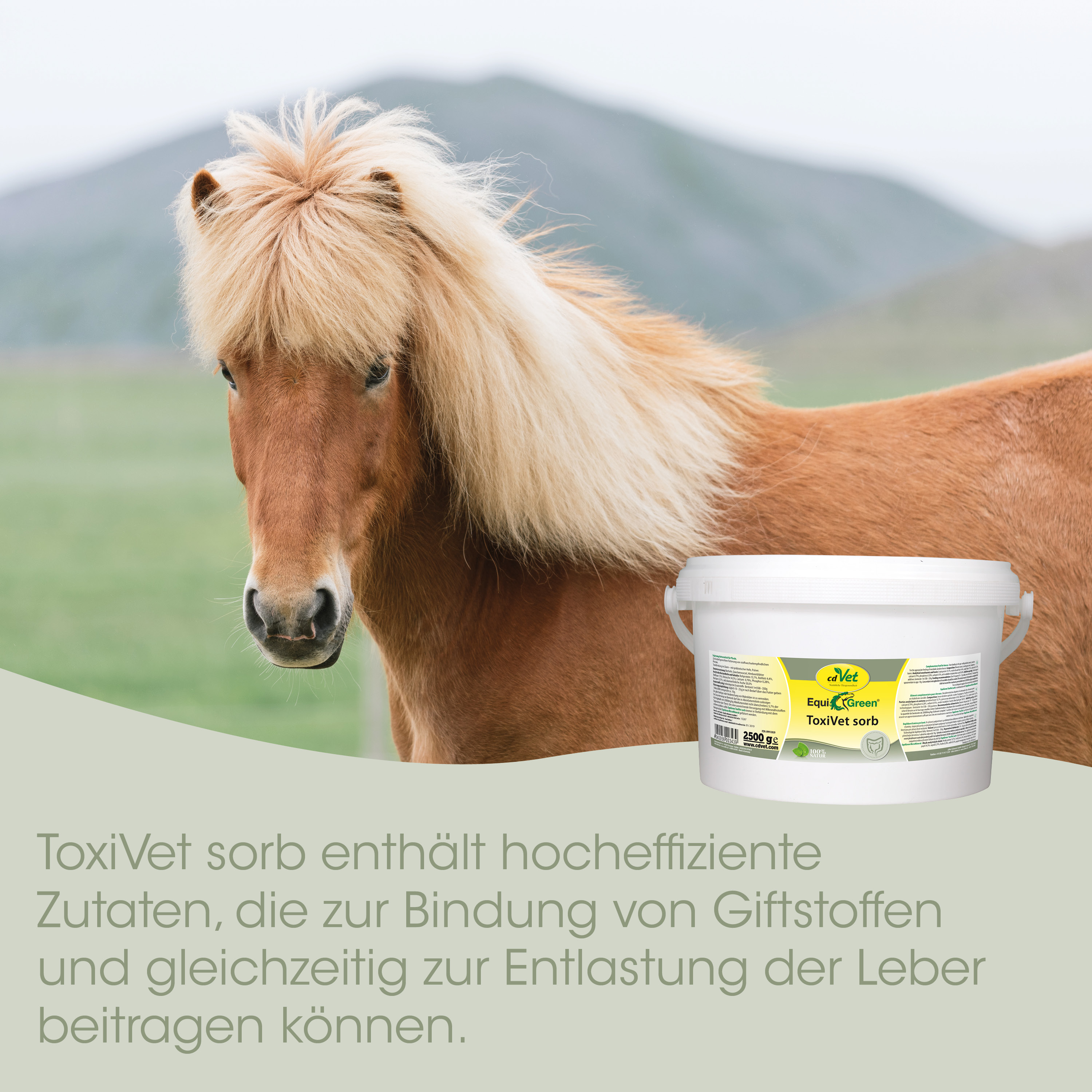 Pony, Hengst, Langhaar, Braun, Tierpflegemittel