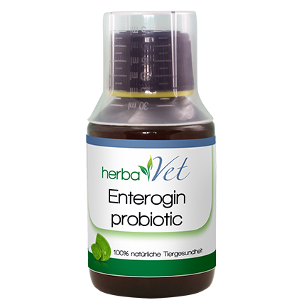 herbaVet Enterogin probiotic 100 ml herbaVet Enterogin probiotic 100 ml