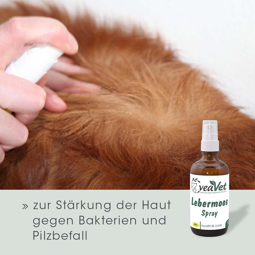 Shopbild