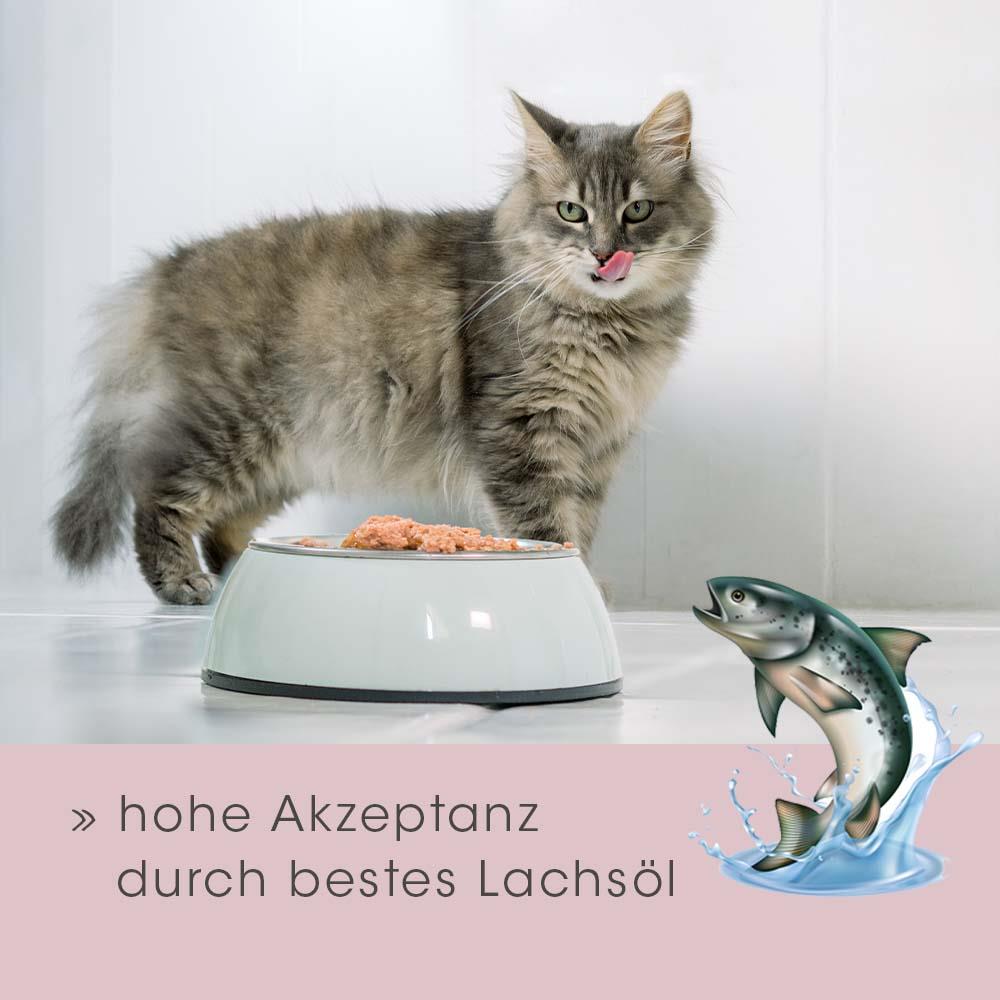 Shopbild